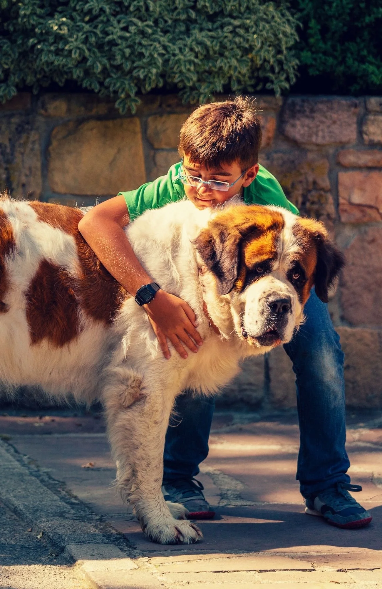 A boy hugging his dog learning about grief and loss of a companion