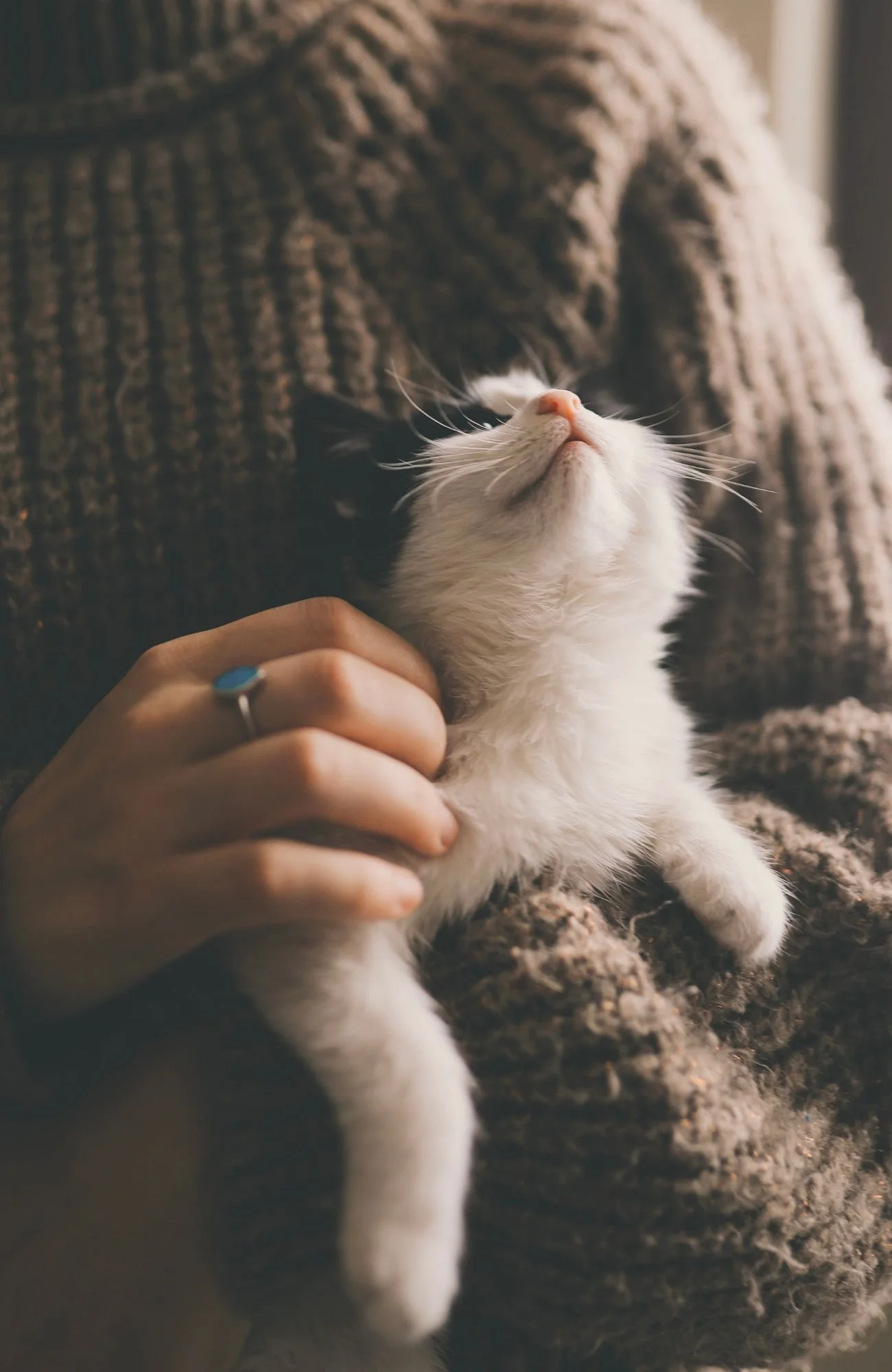 A woman carrying her cat considering gentle in-home pet euthanasia in vancouver