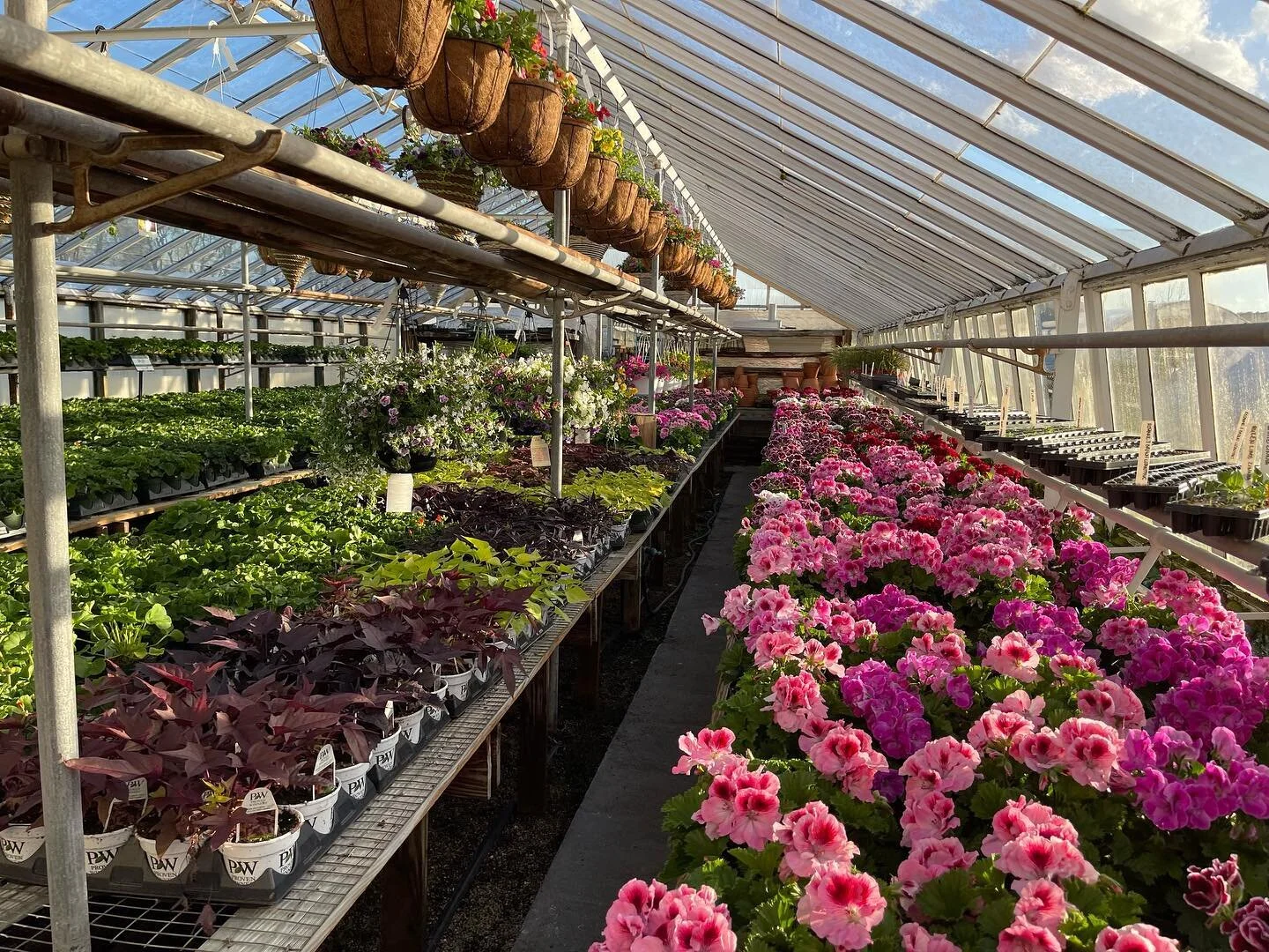 Riverside Greenhouses & Florist