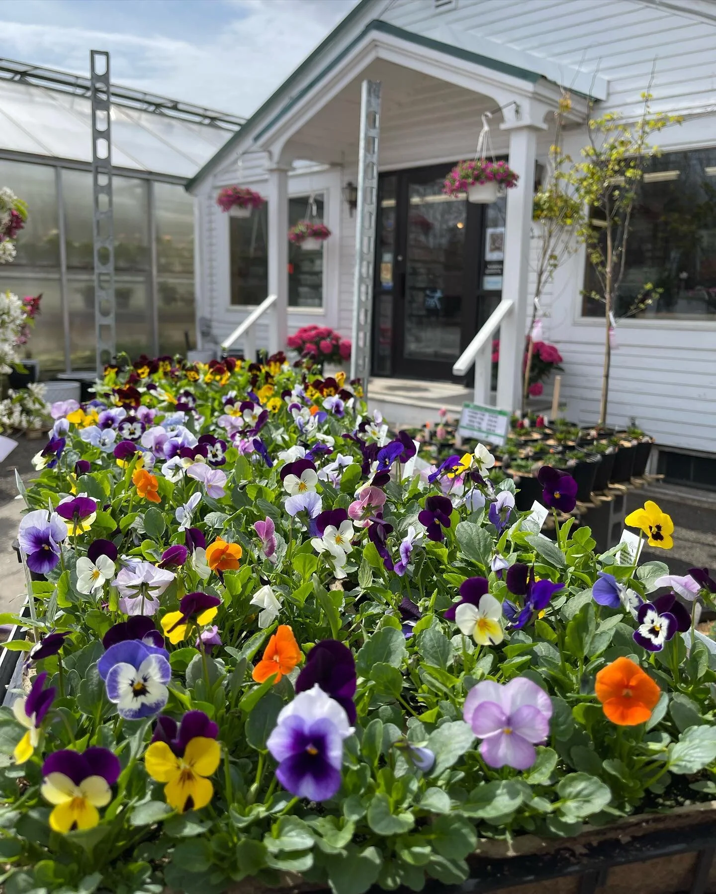 Riverside Greenhouses & Florist