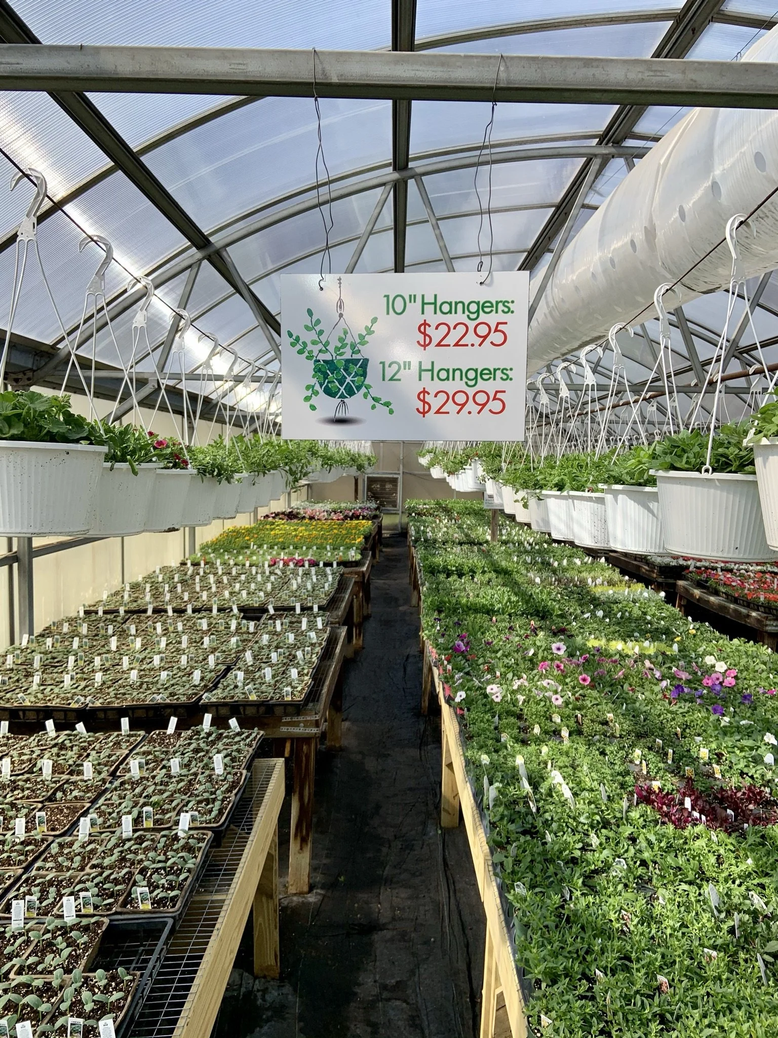 Riverside Greenhouses & Florist