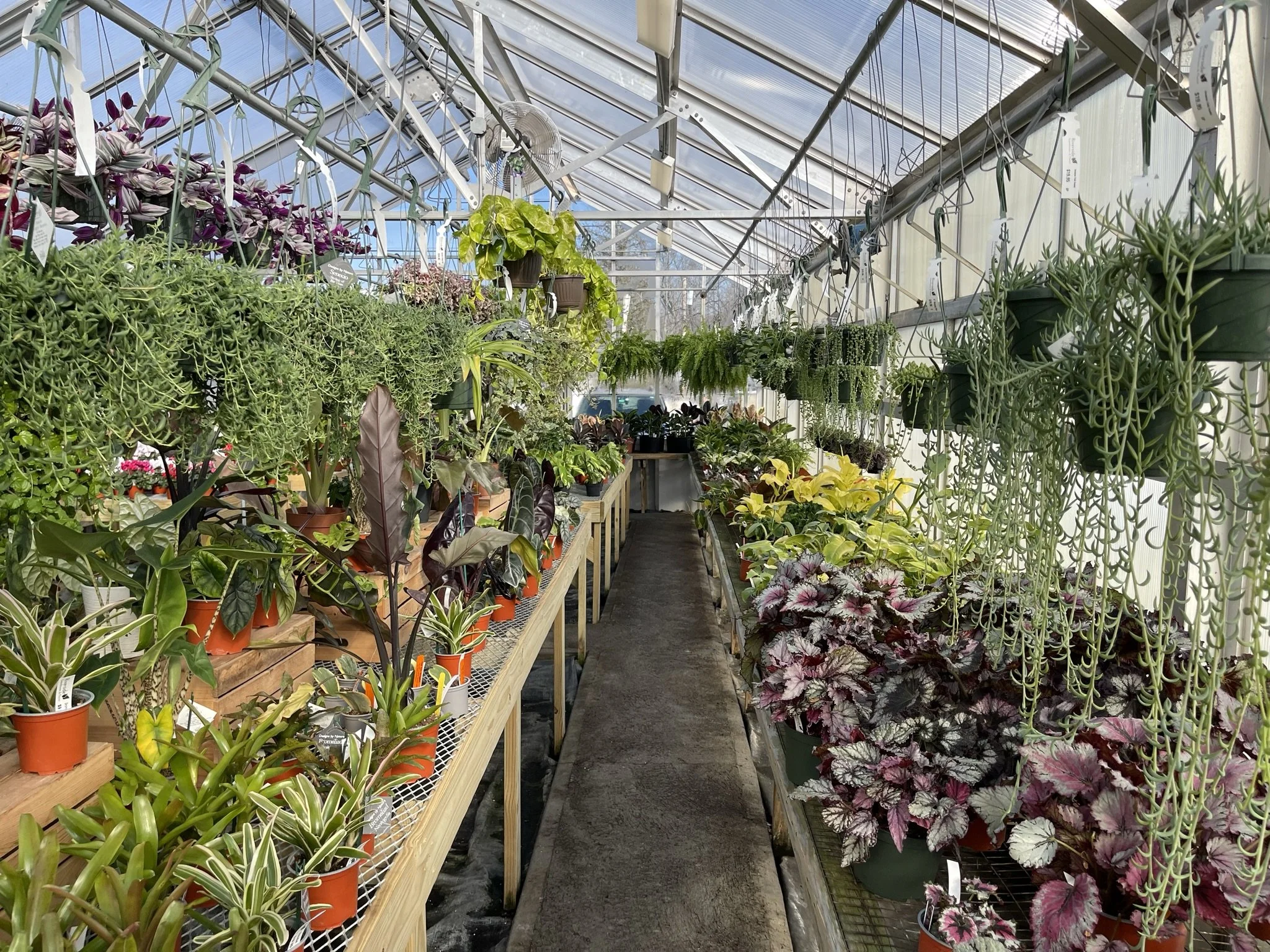 Riverside Greenhouses & Florist