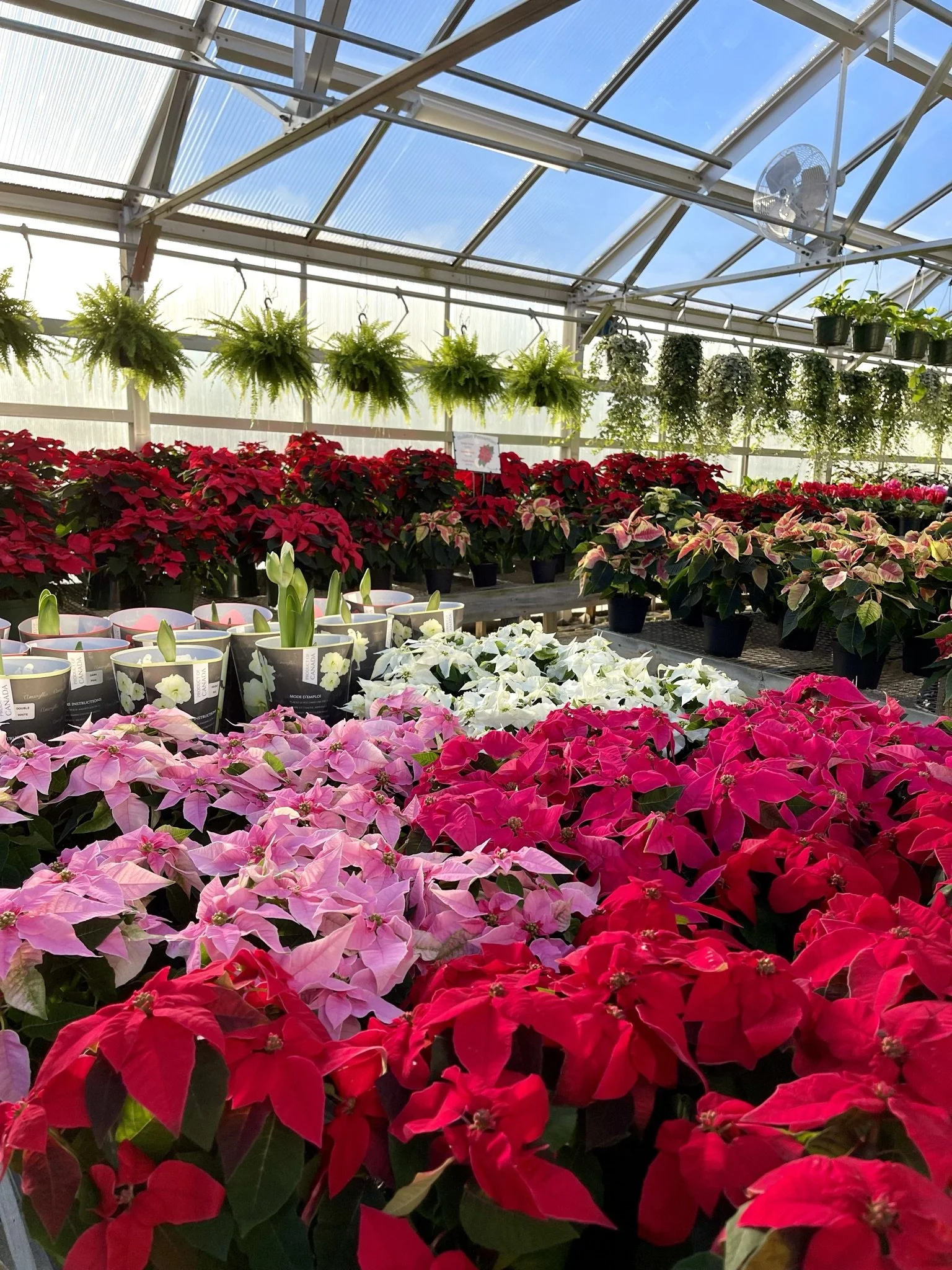 Riverside Greenhouses & Florist