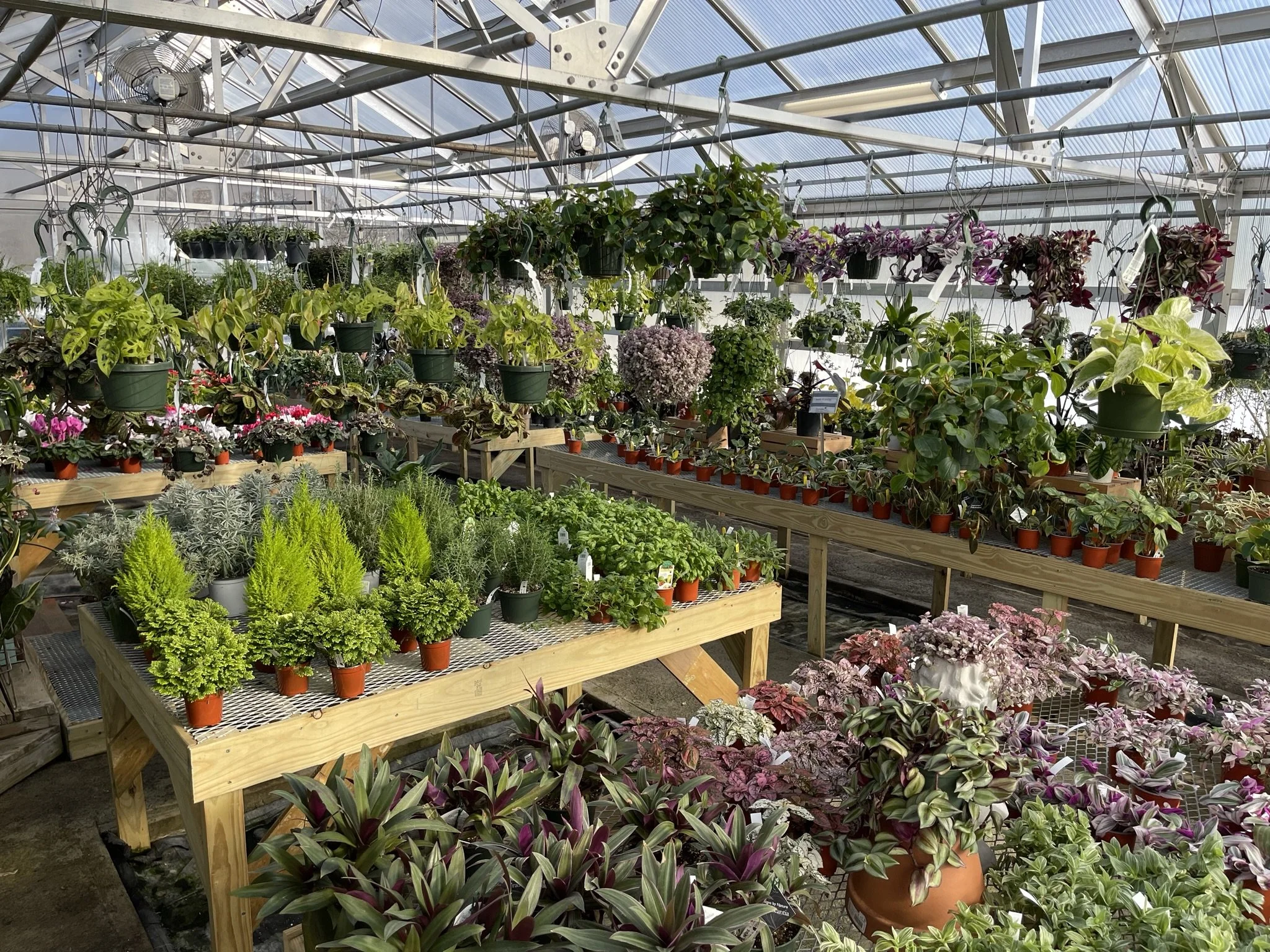 Riverside Greenhouses & Florist