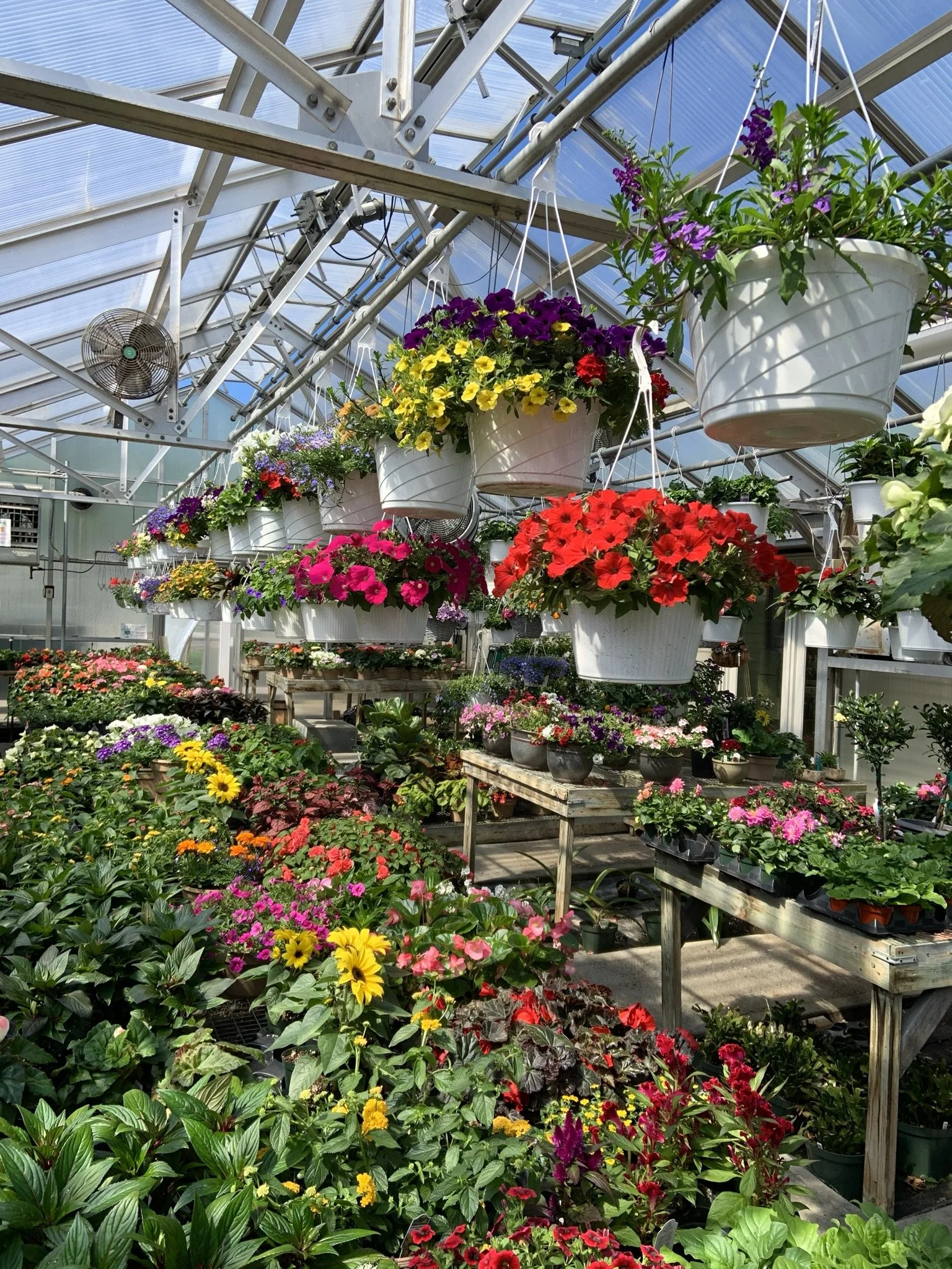 Riverside Greenhouses & Florist