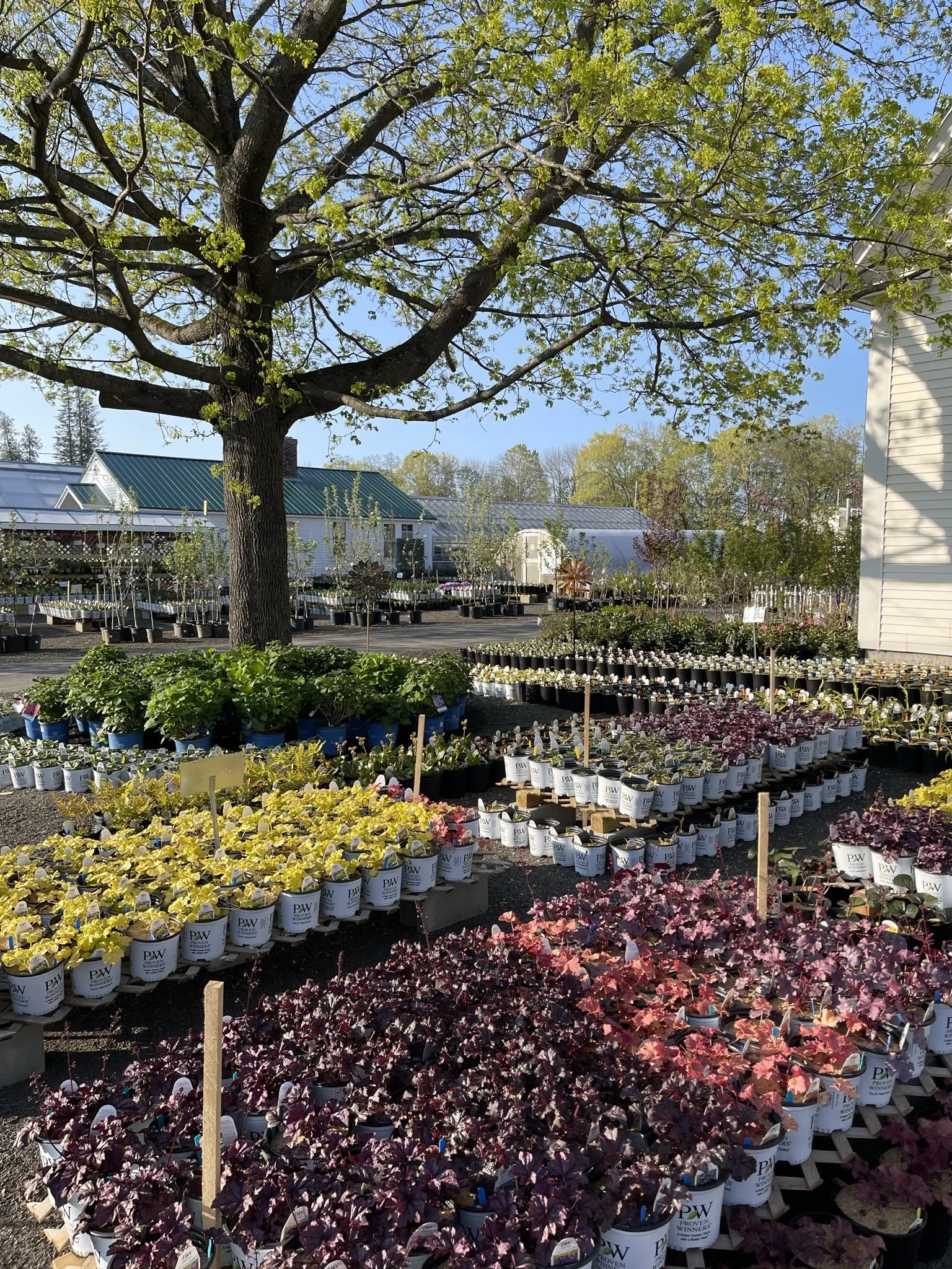 Riverside Greenhouses & Florist