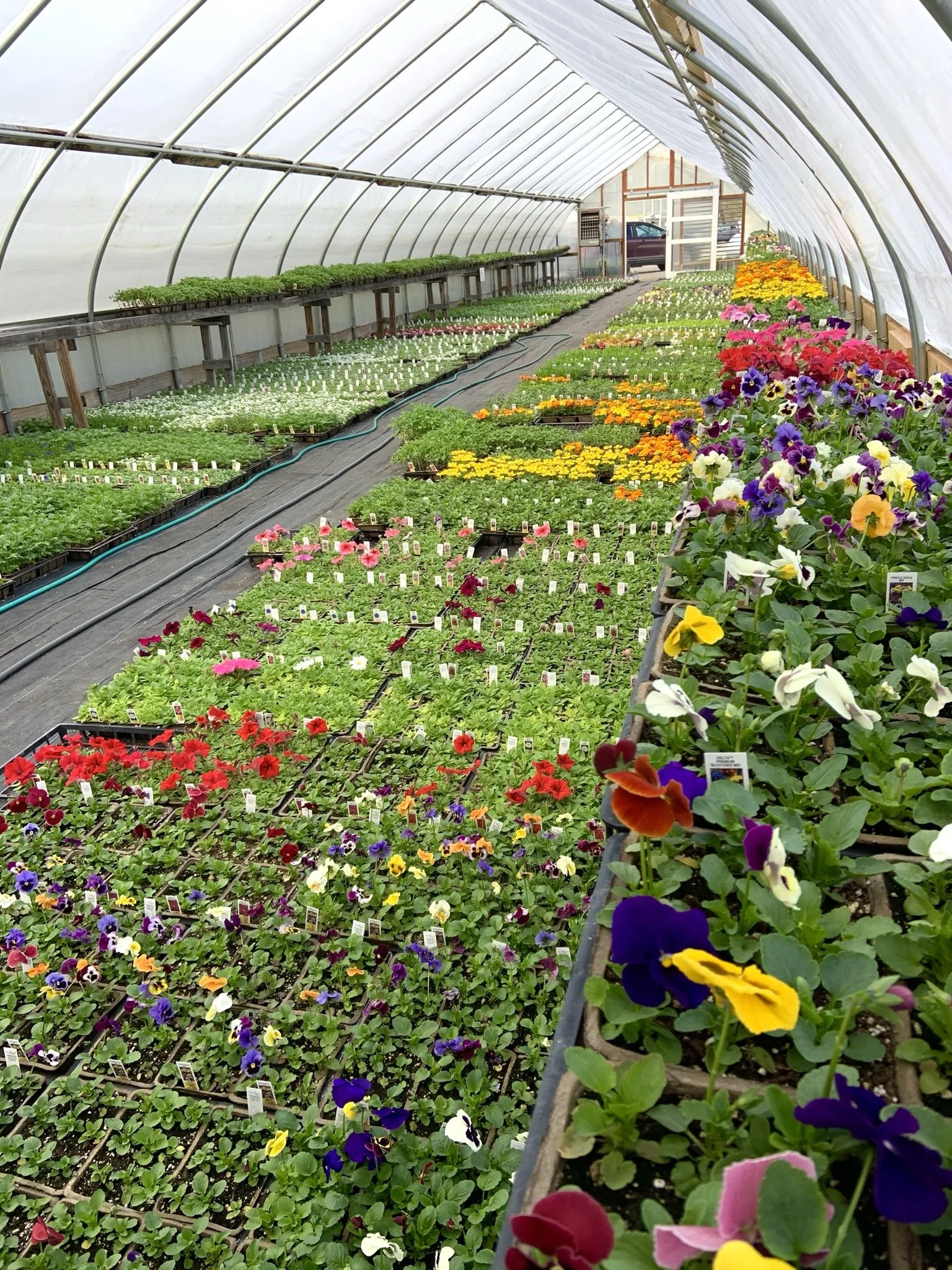 Riverside Greenhouses & Florist