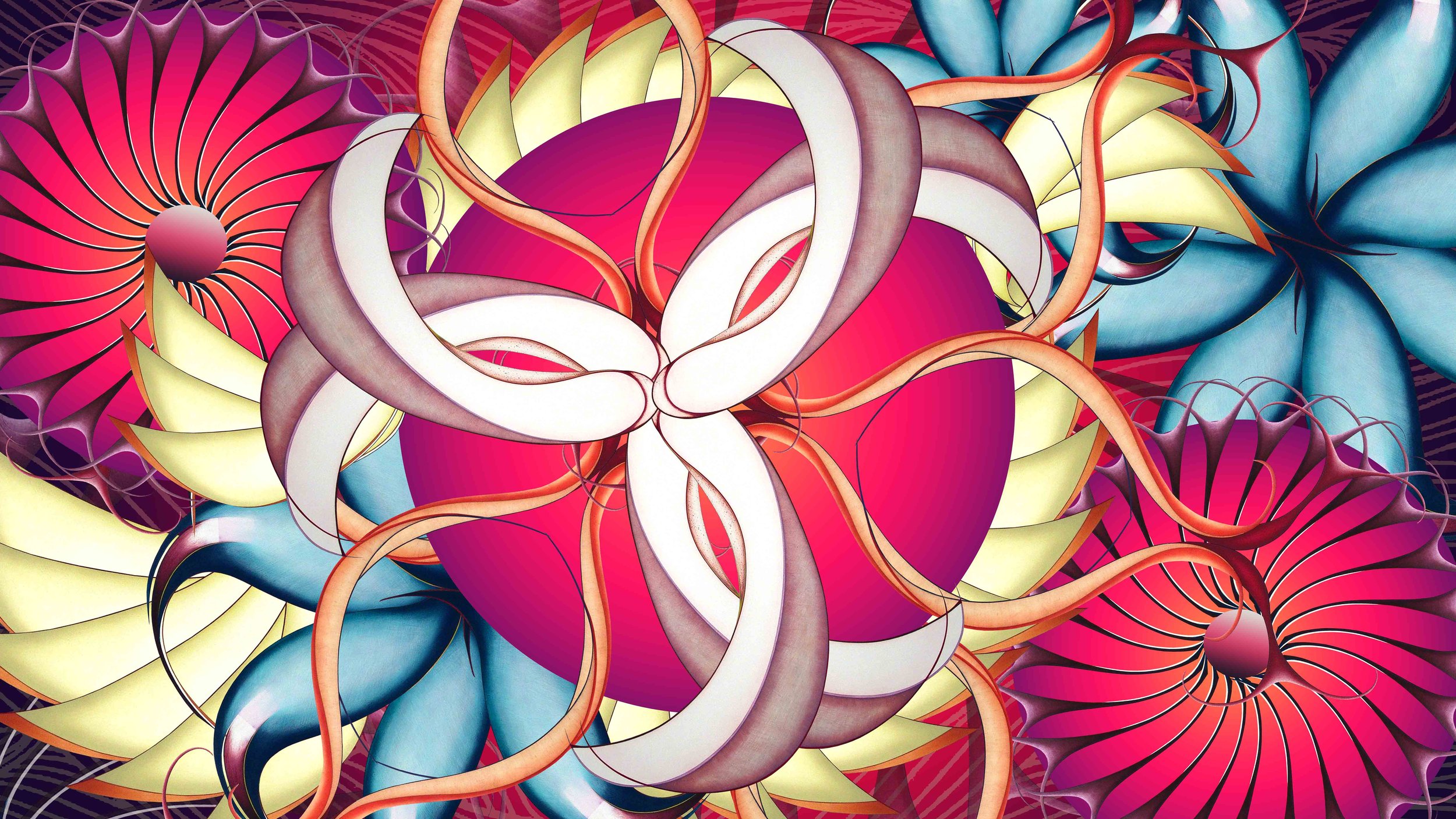 Sundew 01