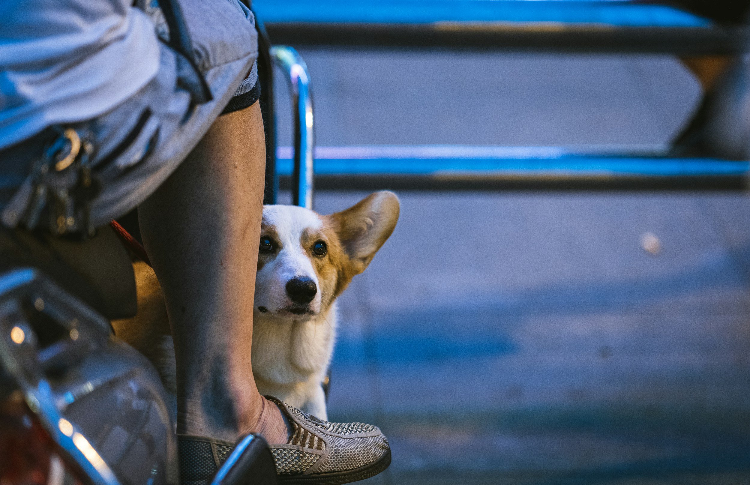 Obedience Isn’t the Answer