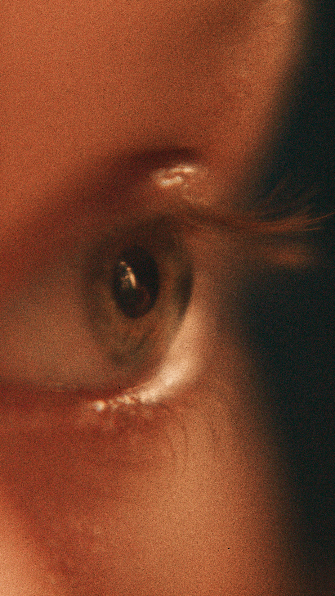Master.01_00_10_22.Still008.png