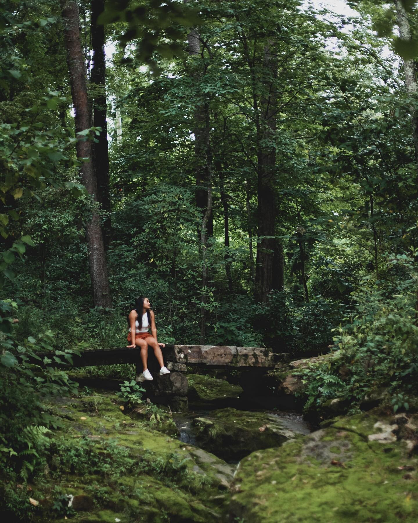 dreamy leafy hideaway 🌿