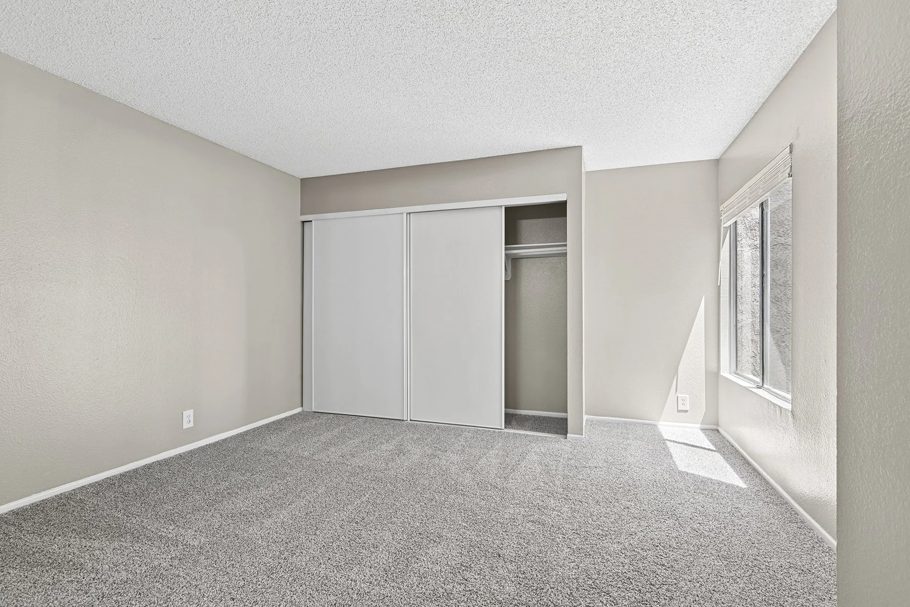 Bedroom with Spacious Closet