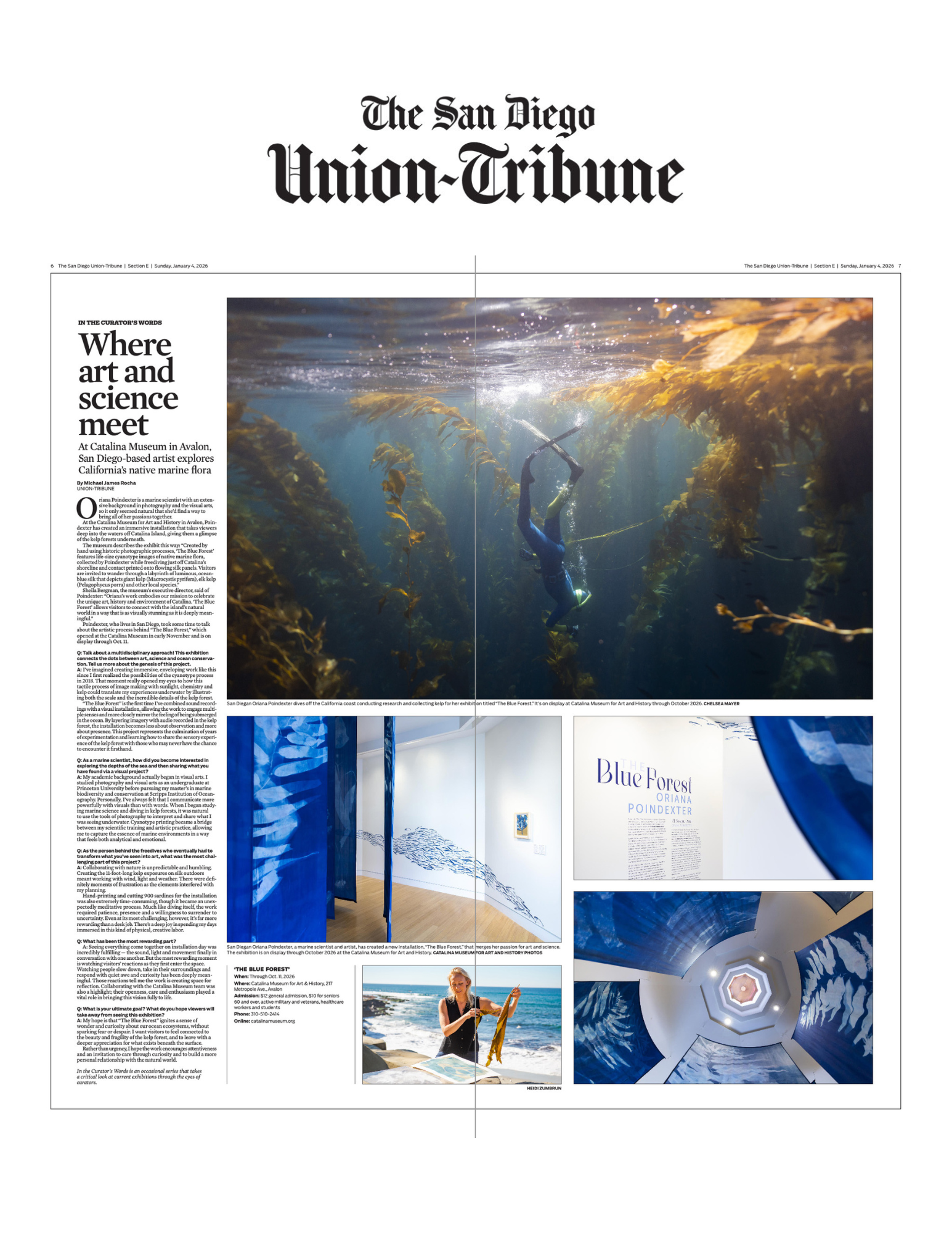 'In the Curator’s Words: At Catalina Museum, San Diego-based artist explores California’s kelp forests' by Michael James Rocha for the San Diego Union Tribune