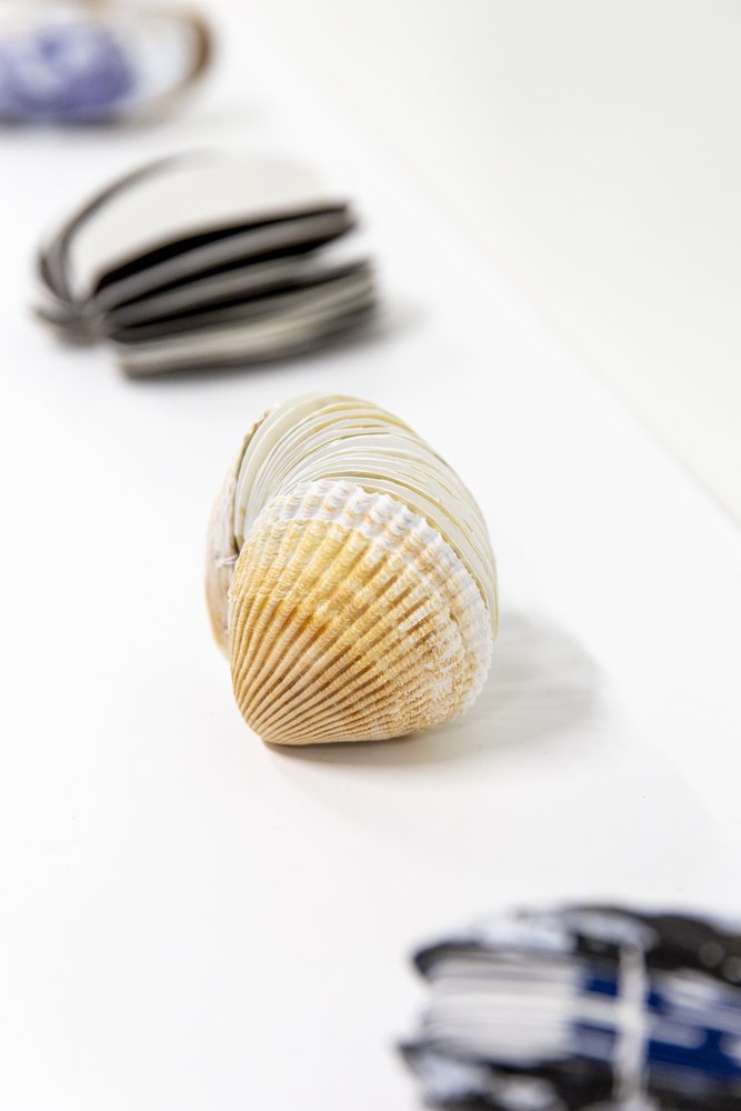 Cascadia Coast Exposures, OSU Hatfield Marine Science Center Artist-in-Residence Exhibit | July 31 - December 5, 2025