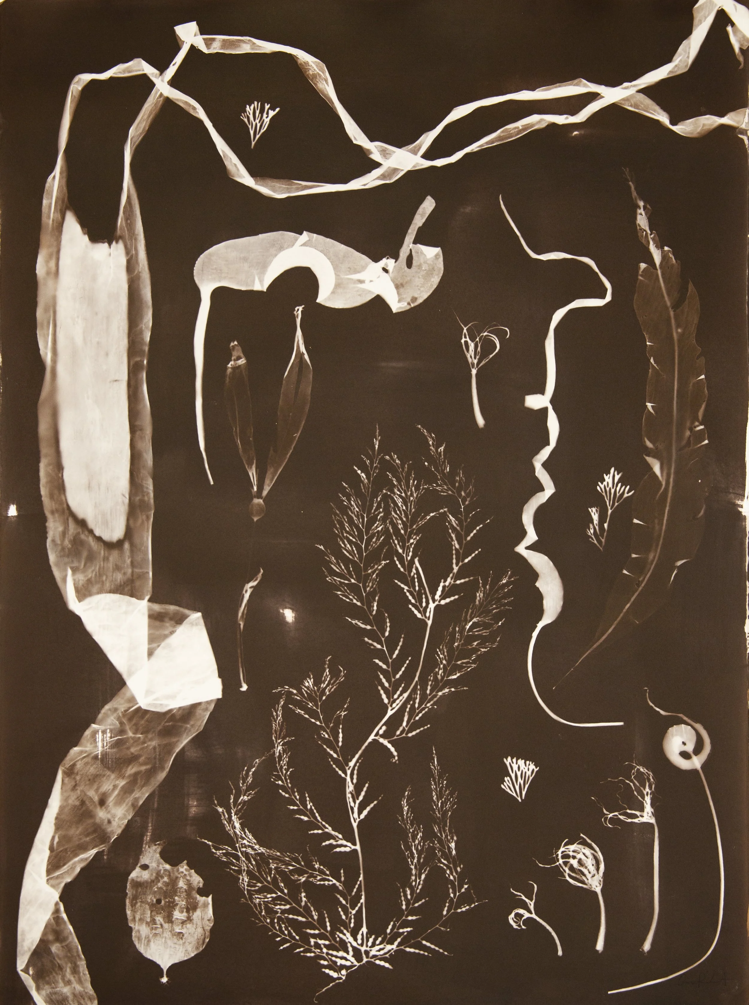 Art About Agriculture Touring Exhibition 2026