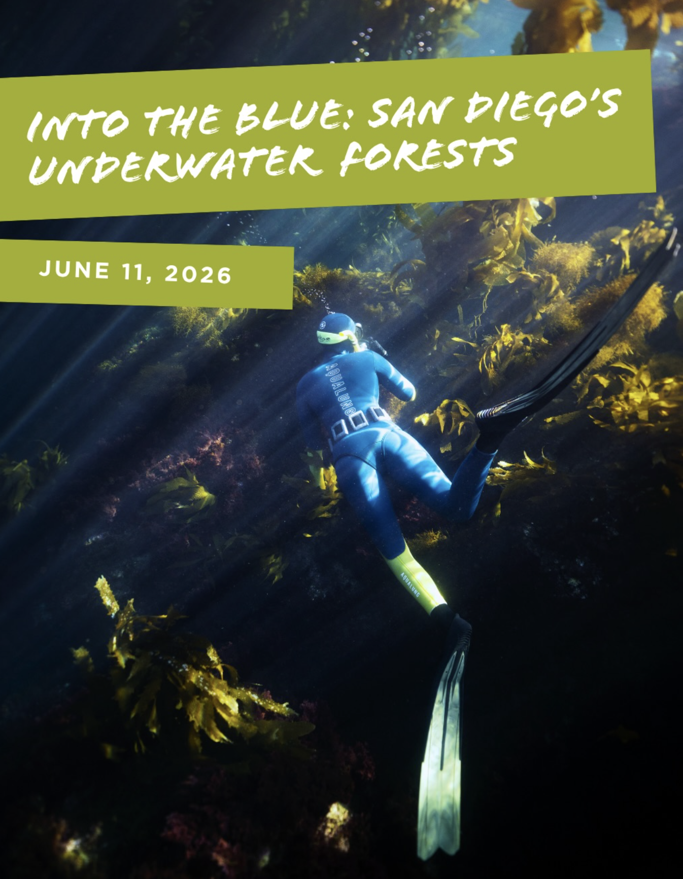 Into the Blue: San Diego’s Underwater Forests