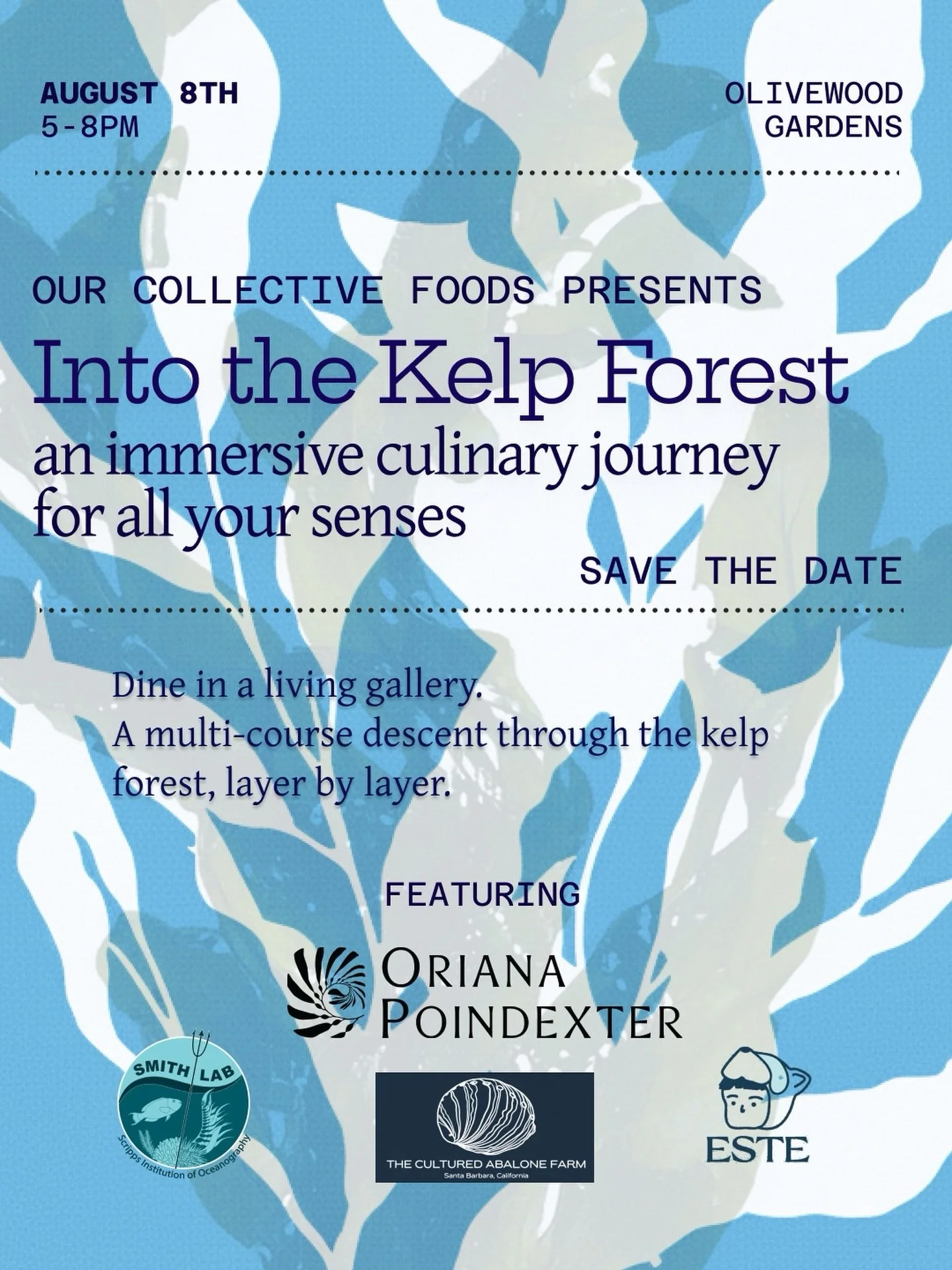 Into the Kelp Forest: An Immersive Journey