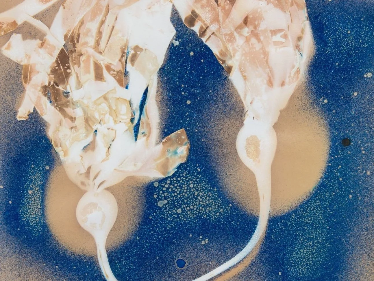 Cascadia Coast Exposures, 2025 | OSU Hatfield Marine Science Center, Newport, Oregon