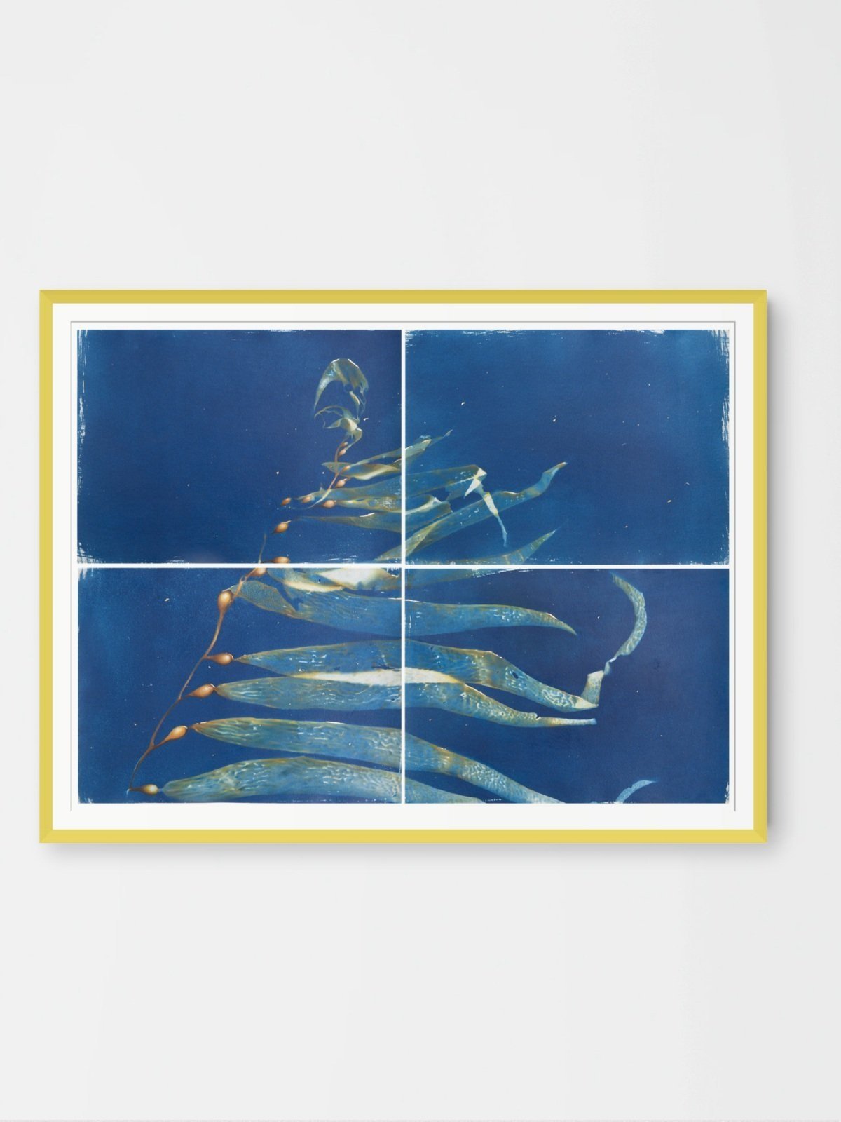 Untitled%2Bdesign%2B%252824%2529.jpg