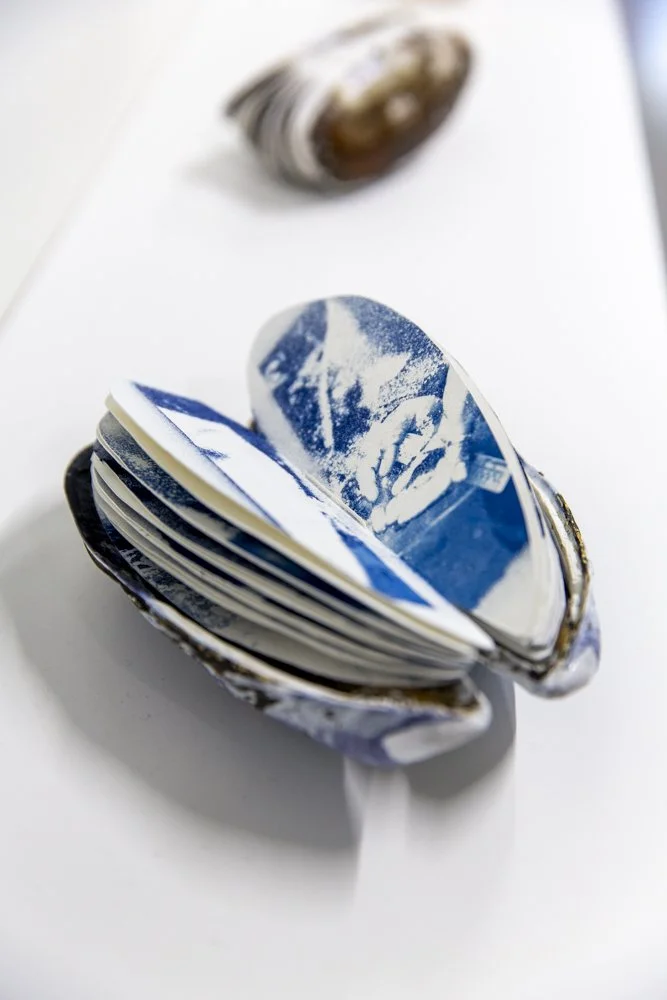 Cascadia Coast Exposures, OSU Hatfield Marine Science Center Artist-in-Residence Exhibit | July 31 - December 5, 2025