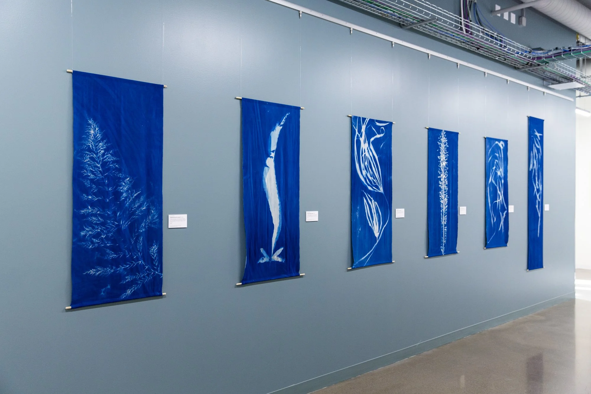 Poindexter_202507_Cascadia-Coast-OSU-Hatfield_Install-89.jpg