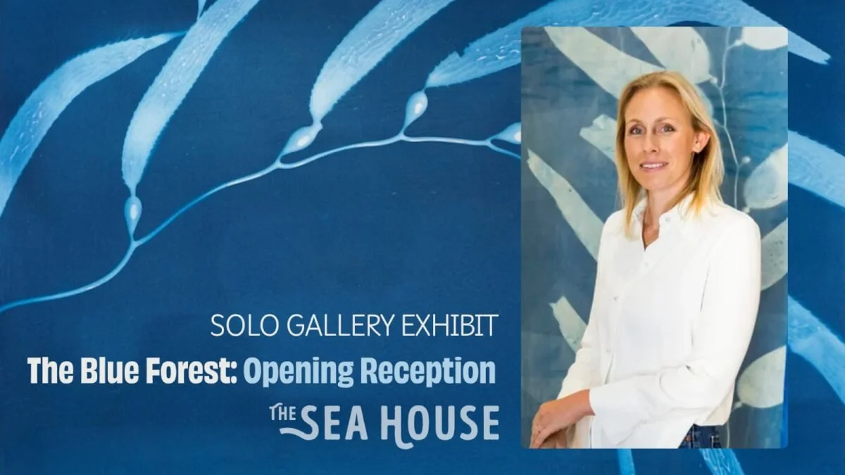 The Sea House Presents: The Blue Forest