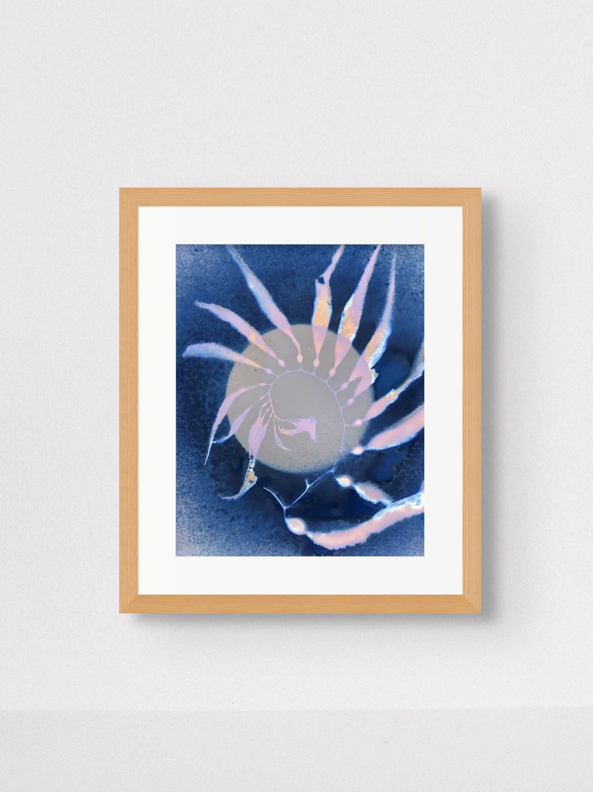 Giant Kelp Study 127