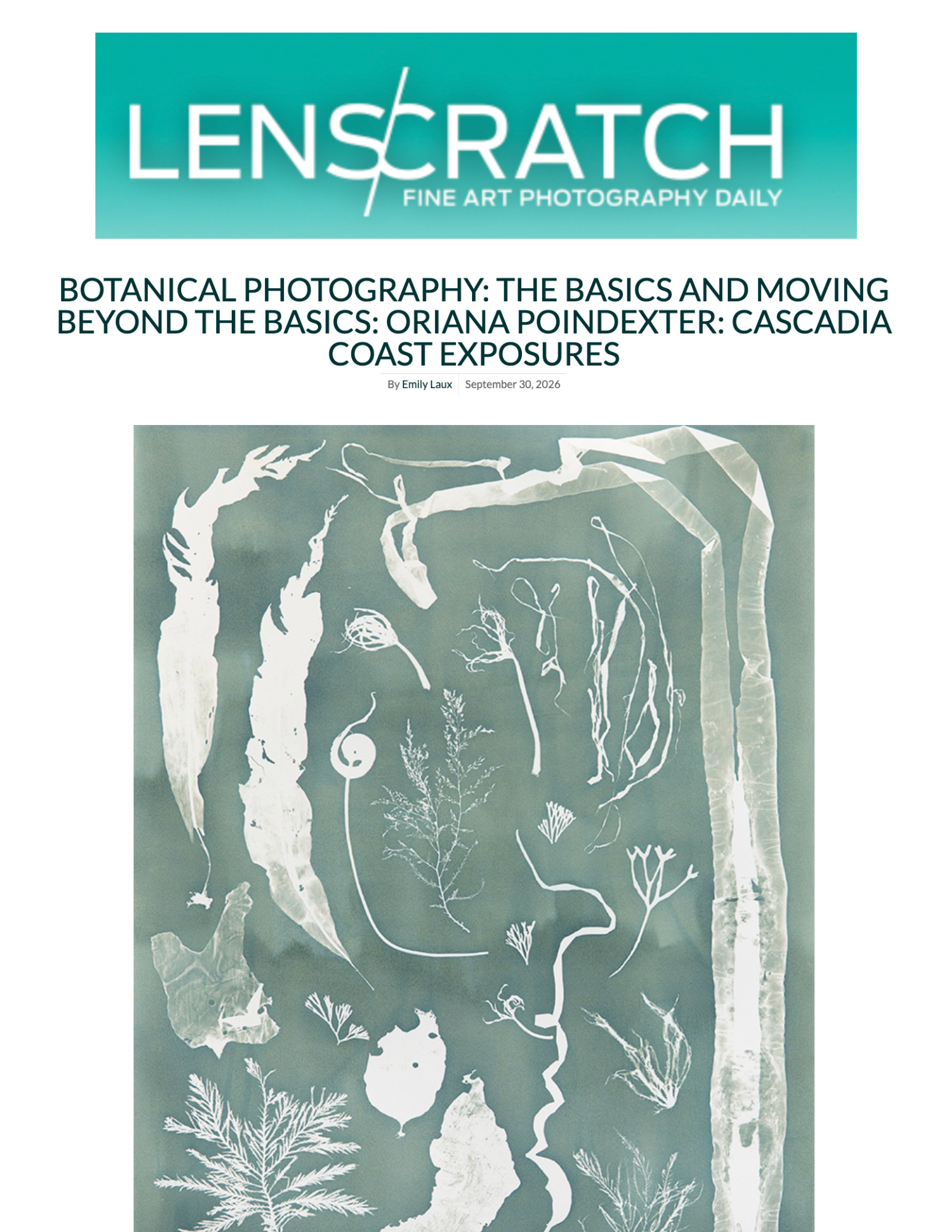 'Botanical Photography' by Emily Laroux for Lenscratch