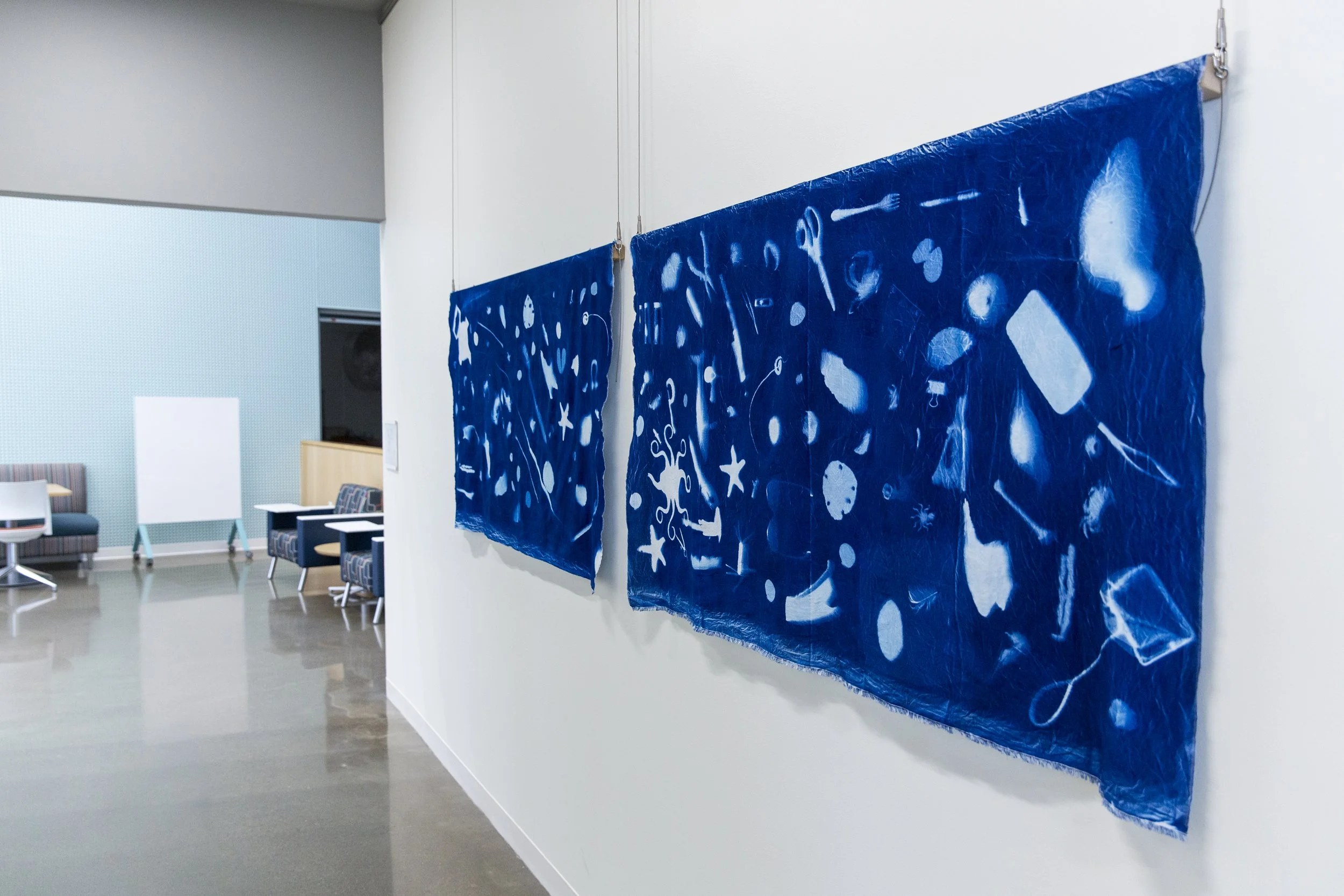 Cascadia Coast Exposures, OSU Hatfield Marine Science Center Artist-in-Residence Exhibit | July 31 - December 5, 2025