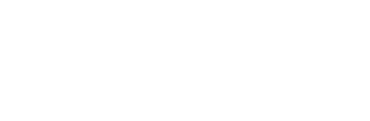 Echo Projects Co: Commercial Construction
