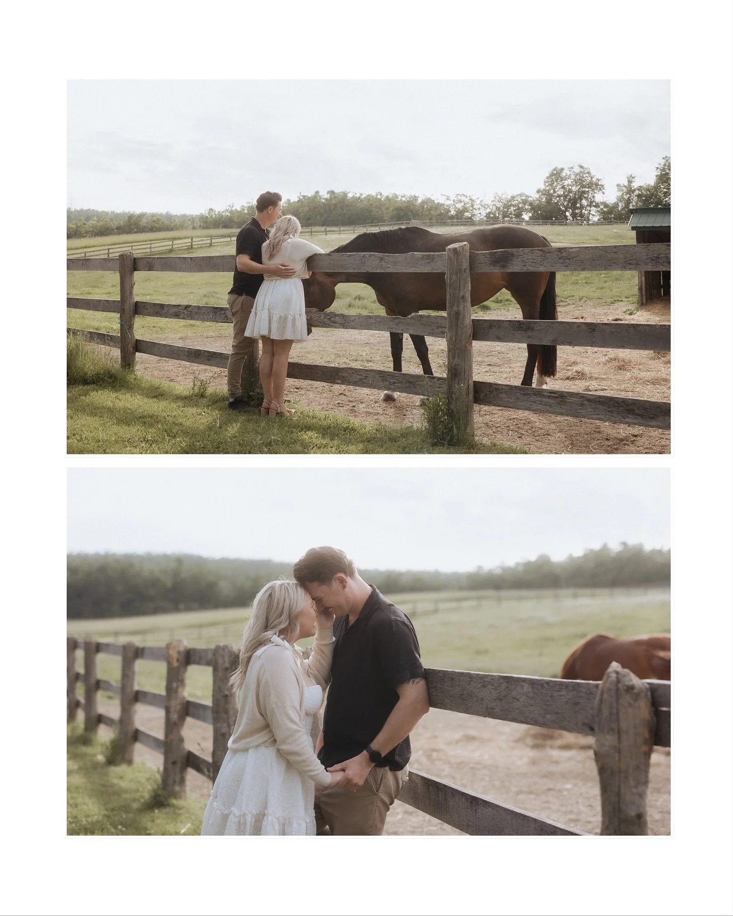 Countryside Fairytale🐴
&bull;
Engagement sessions are better with a little dirt road and a lot of personality!
&bull;
&bull;
#glenorofarm #barrieweddings #barrieweddingphotographer #canoncanada #rf50mmf12