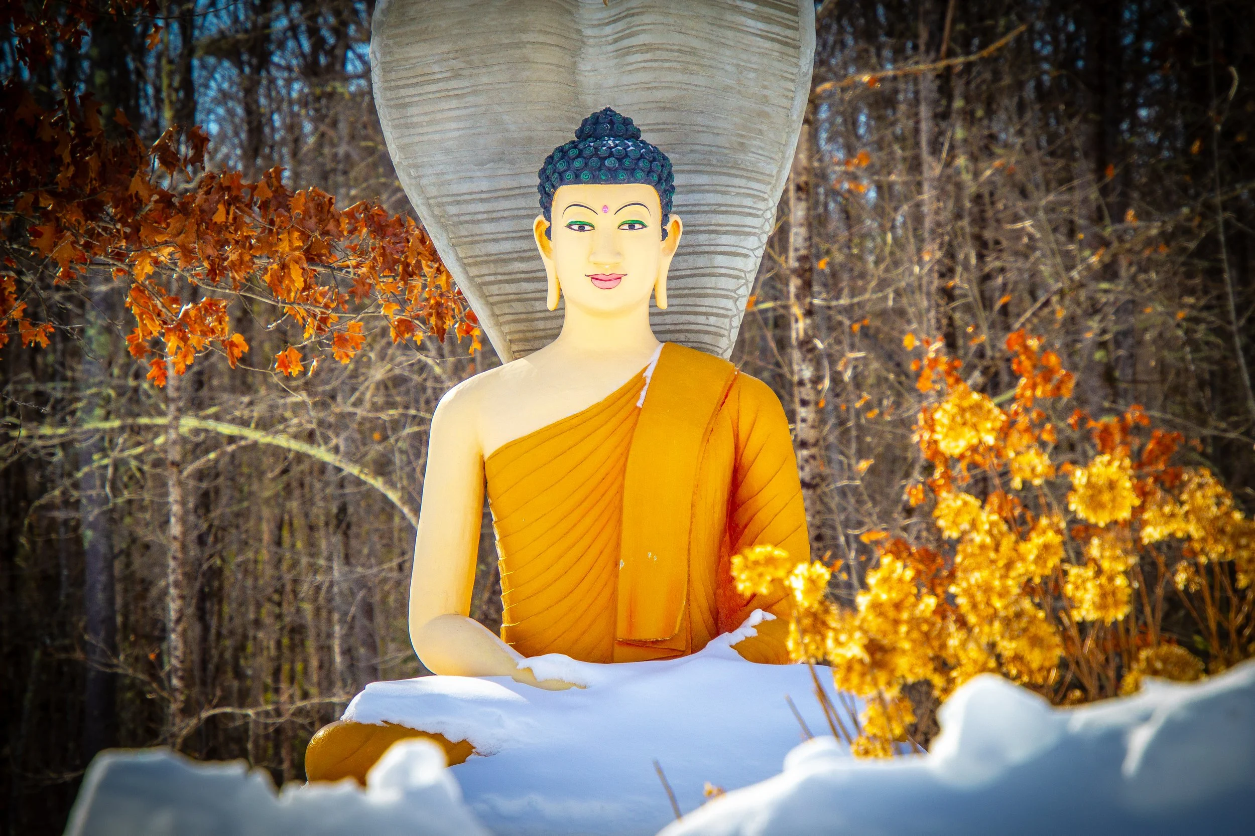 2026_ Buddha-1.jpg