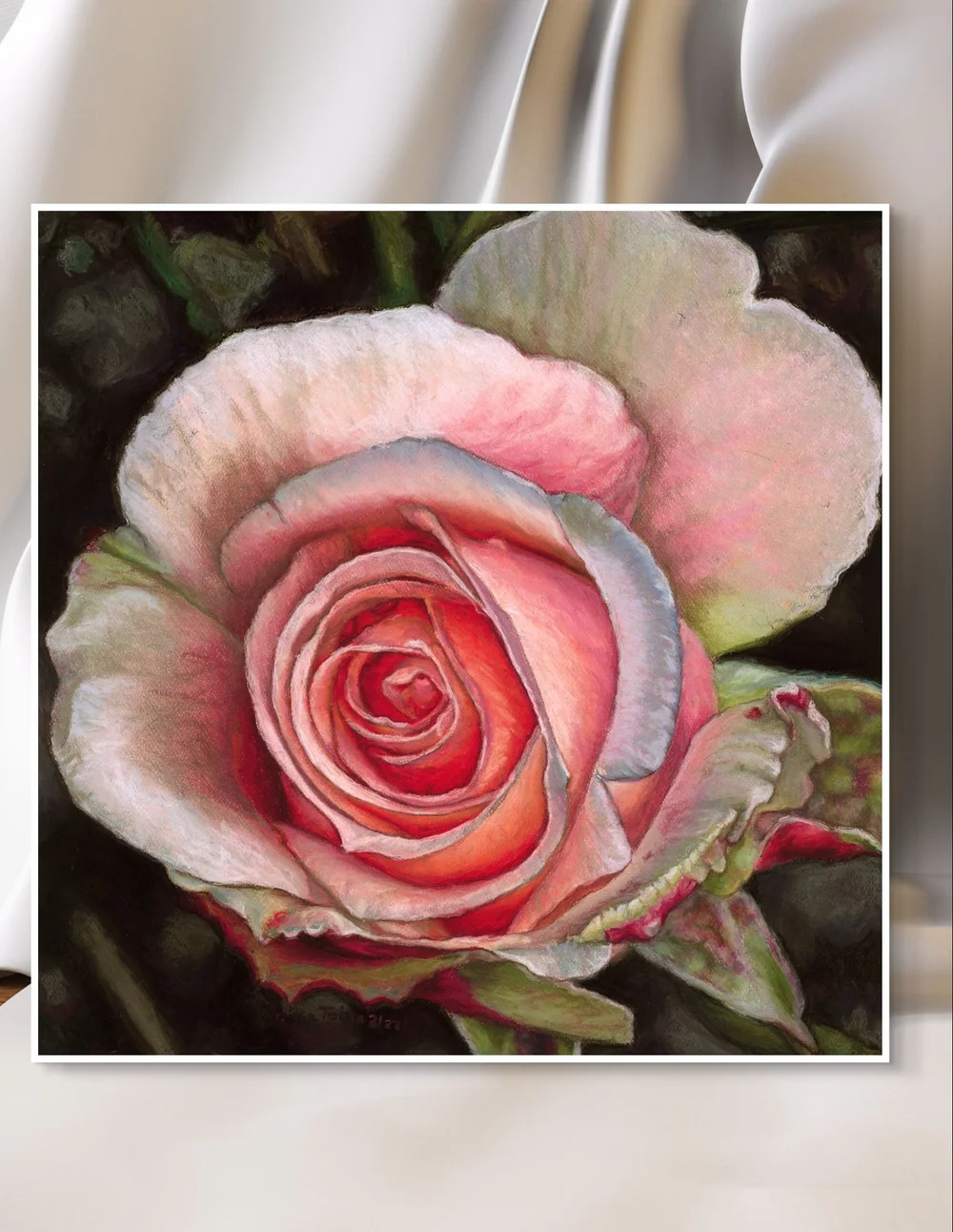 peach-pink-rose-giclee-at-