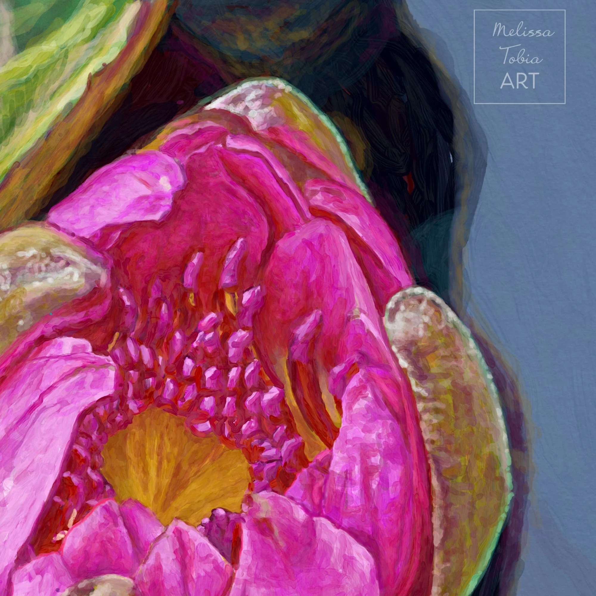 Close-up of magenta water lily petals and golden center against dark blue water in a fine art print