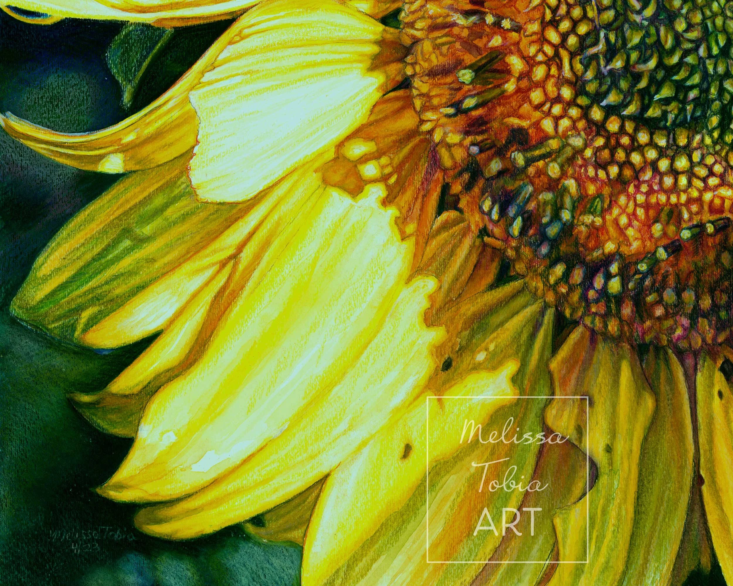 sunbeam-sunflower_lowres_detail2-WWM-cropped-9x12.jpg