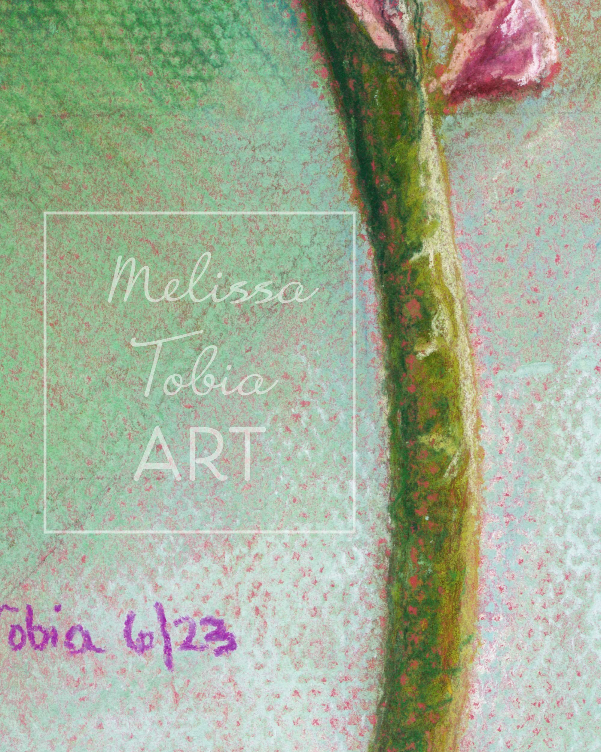 Close-up detail of pink lotus flower green stem art print