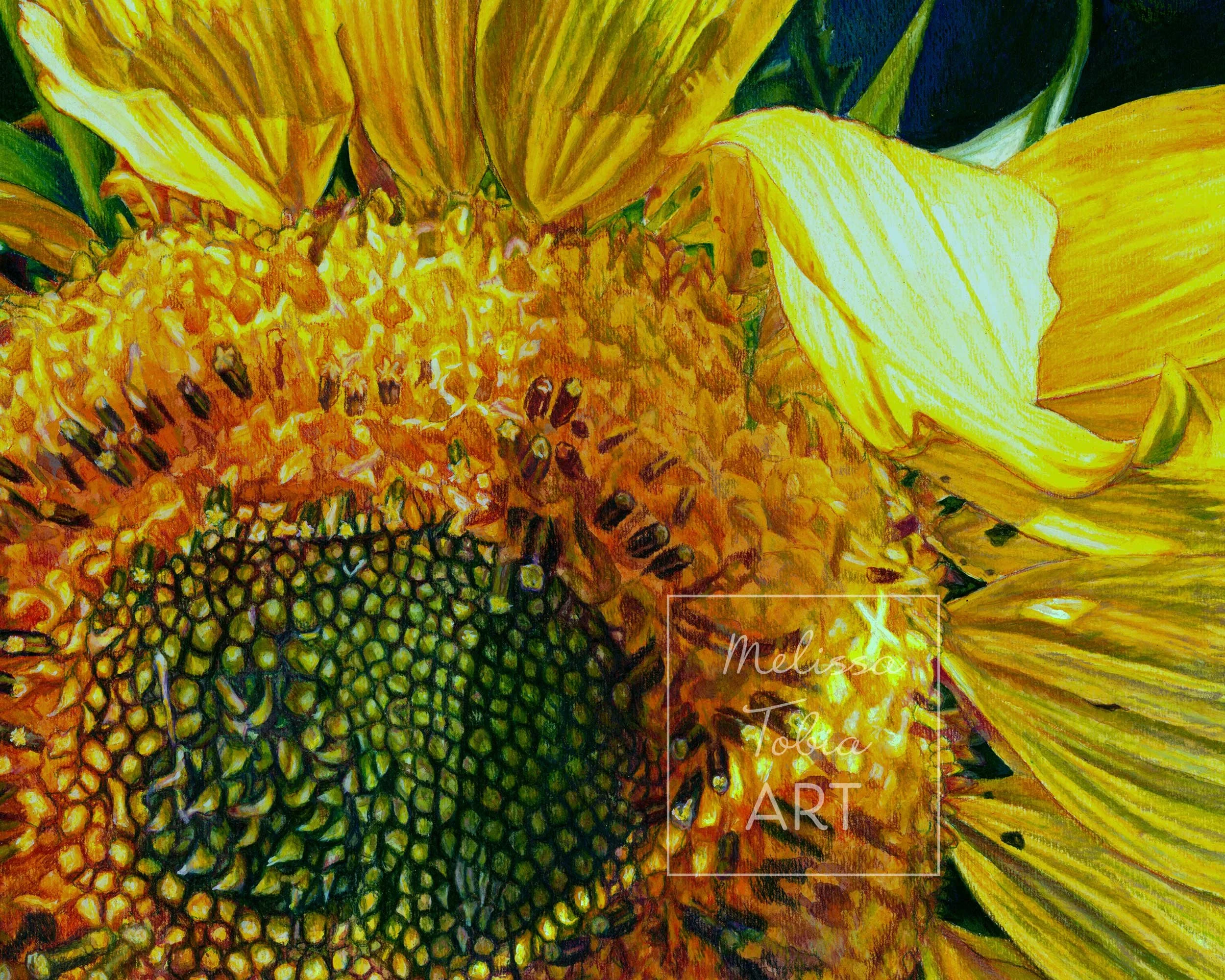 sunbeam-sunflower_lowres_detail1-WWM-cropped-9x12.jpg
