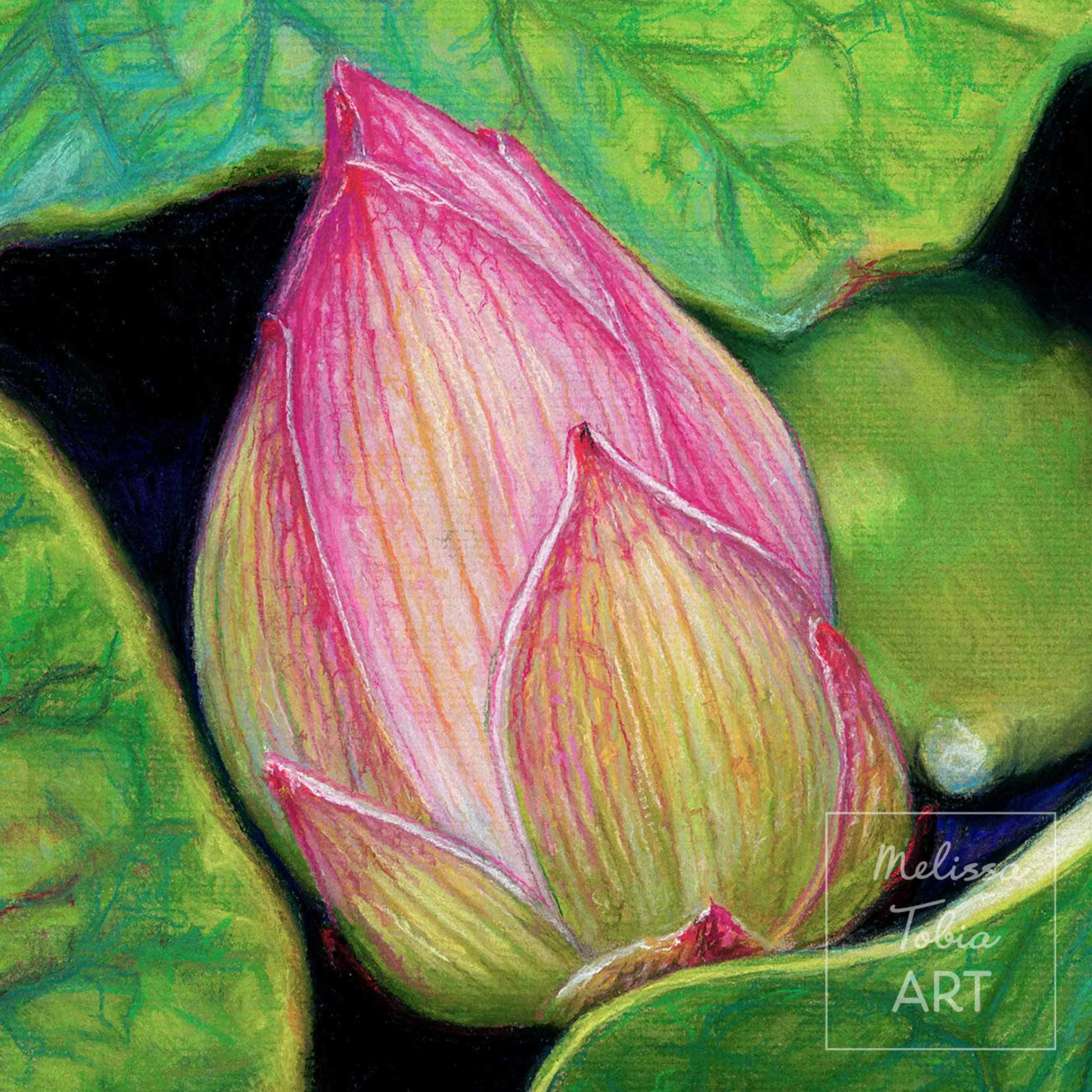 Close-up of pastel texture and petal detail with yellow and pink pastel strokes in a pink lotus bud painting