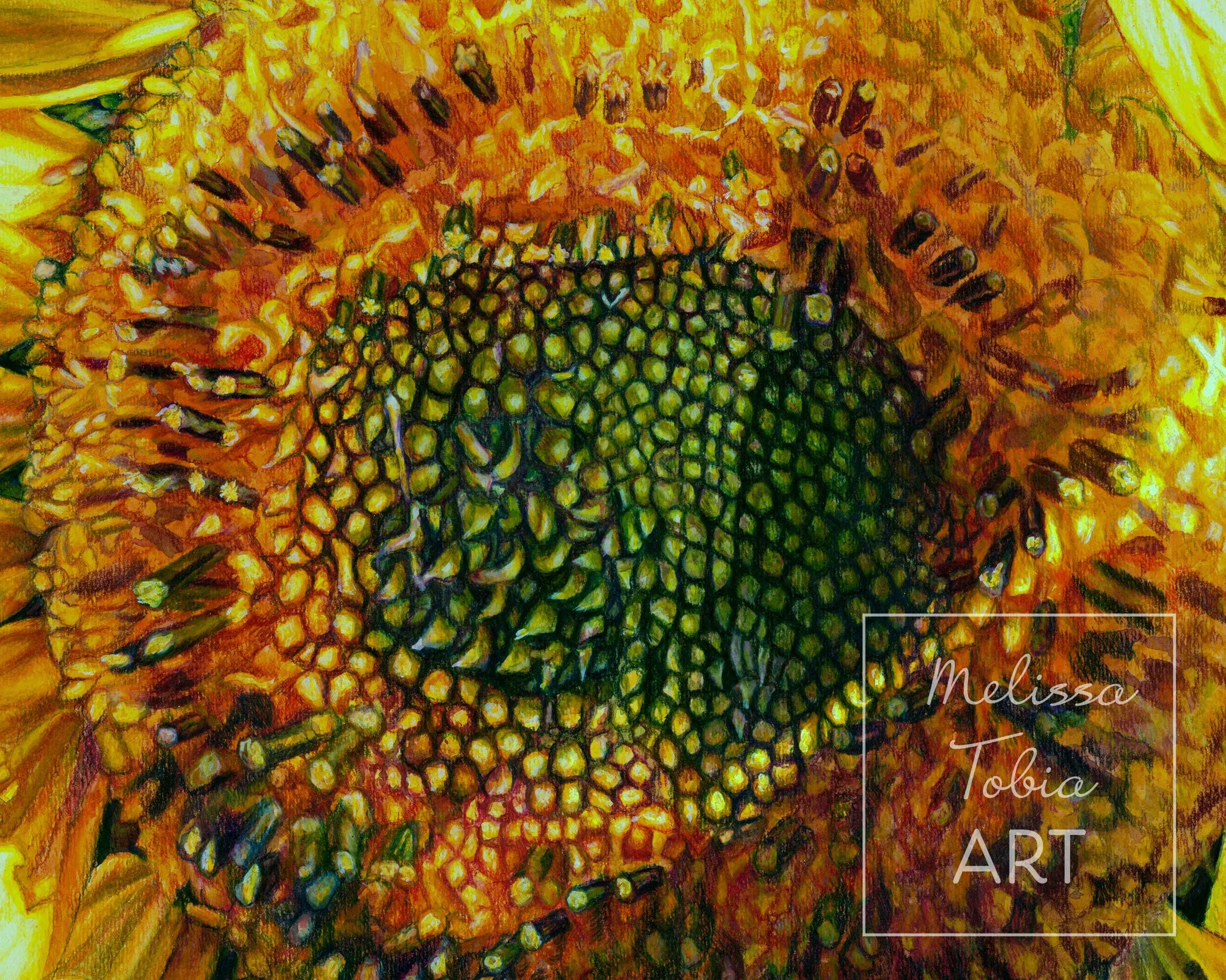 sunbeam-sunflower_lowres_detail-WWM-cropped-9x12.jpg