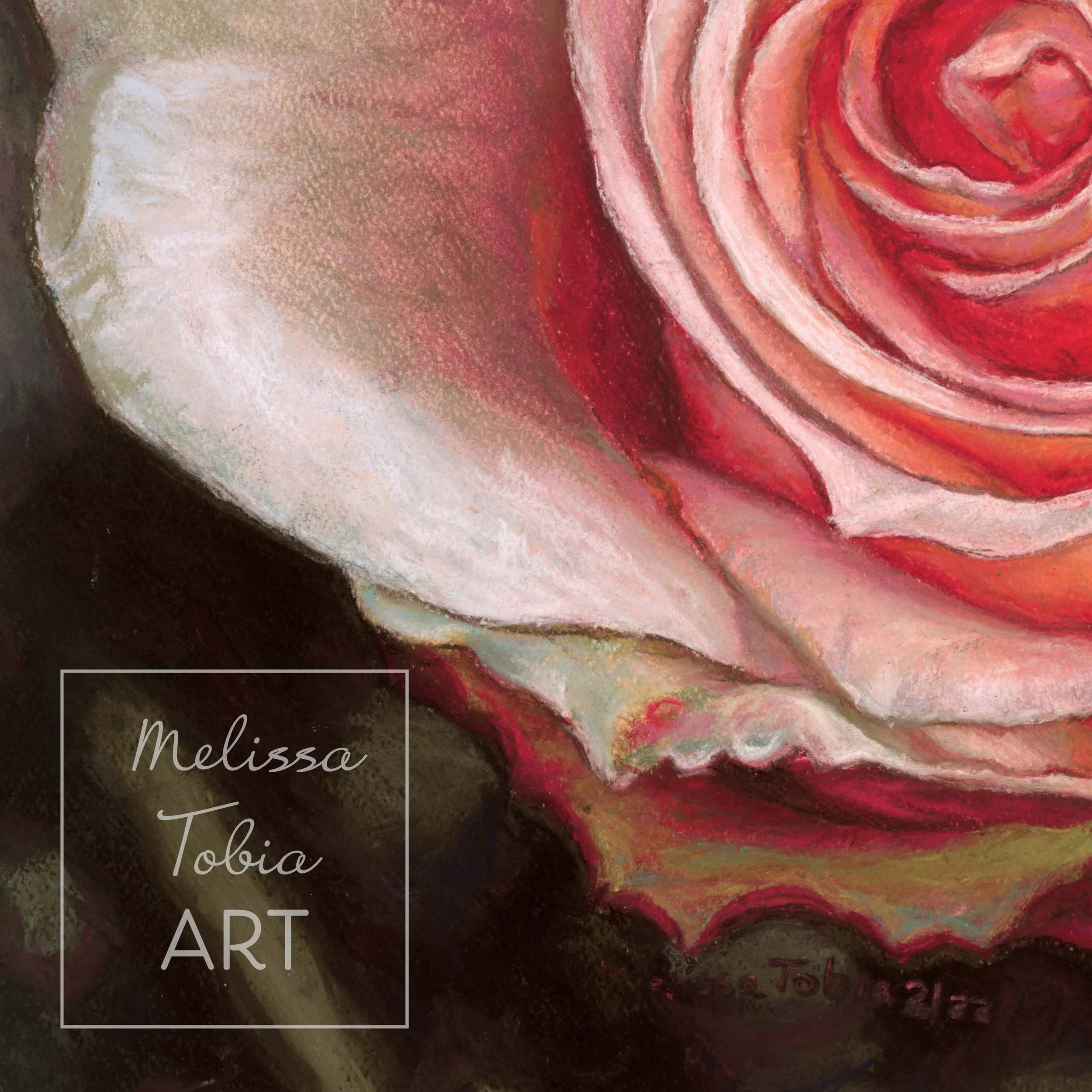 Close-up detail of rose fine art print showing soft pastel petal edges