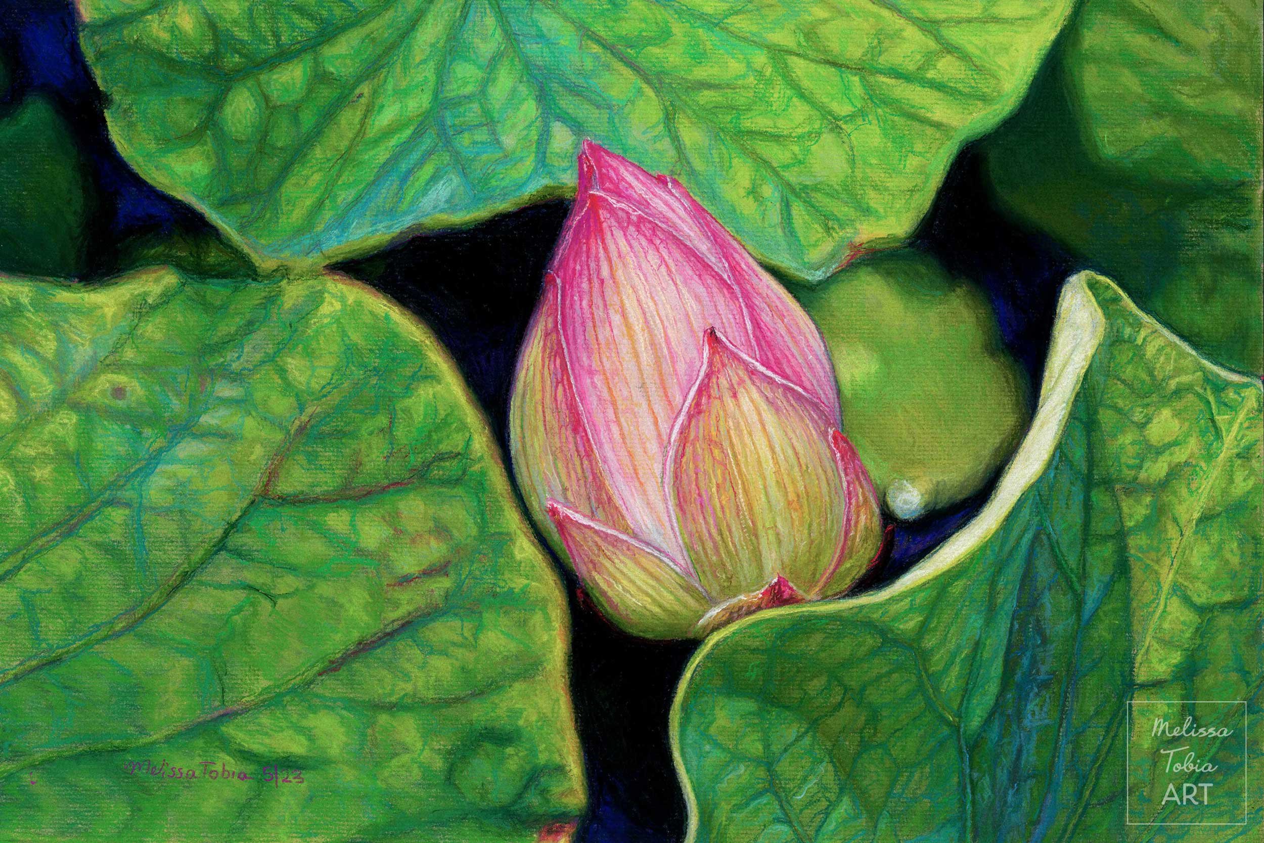 Pink lotus bud emerging from lush green leaves in an original soft pastel painting