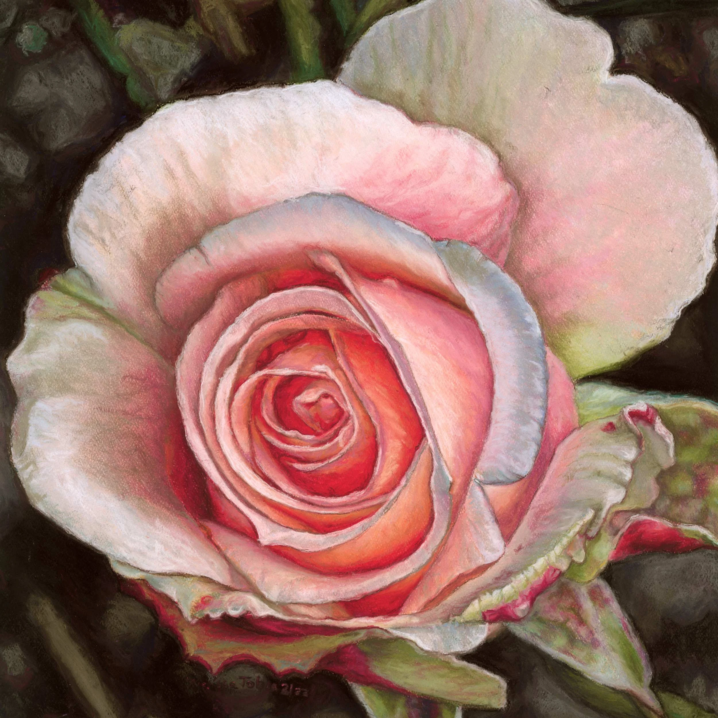 A Perfect Rose — original soft pastel painting of a pink and coral rose against a dark background