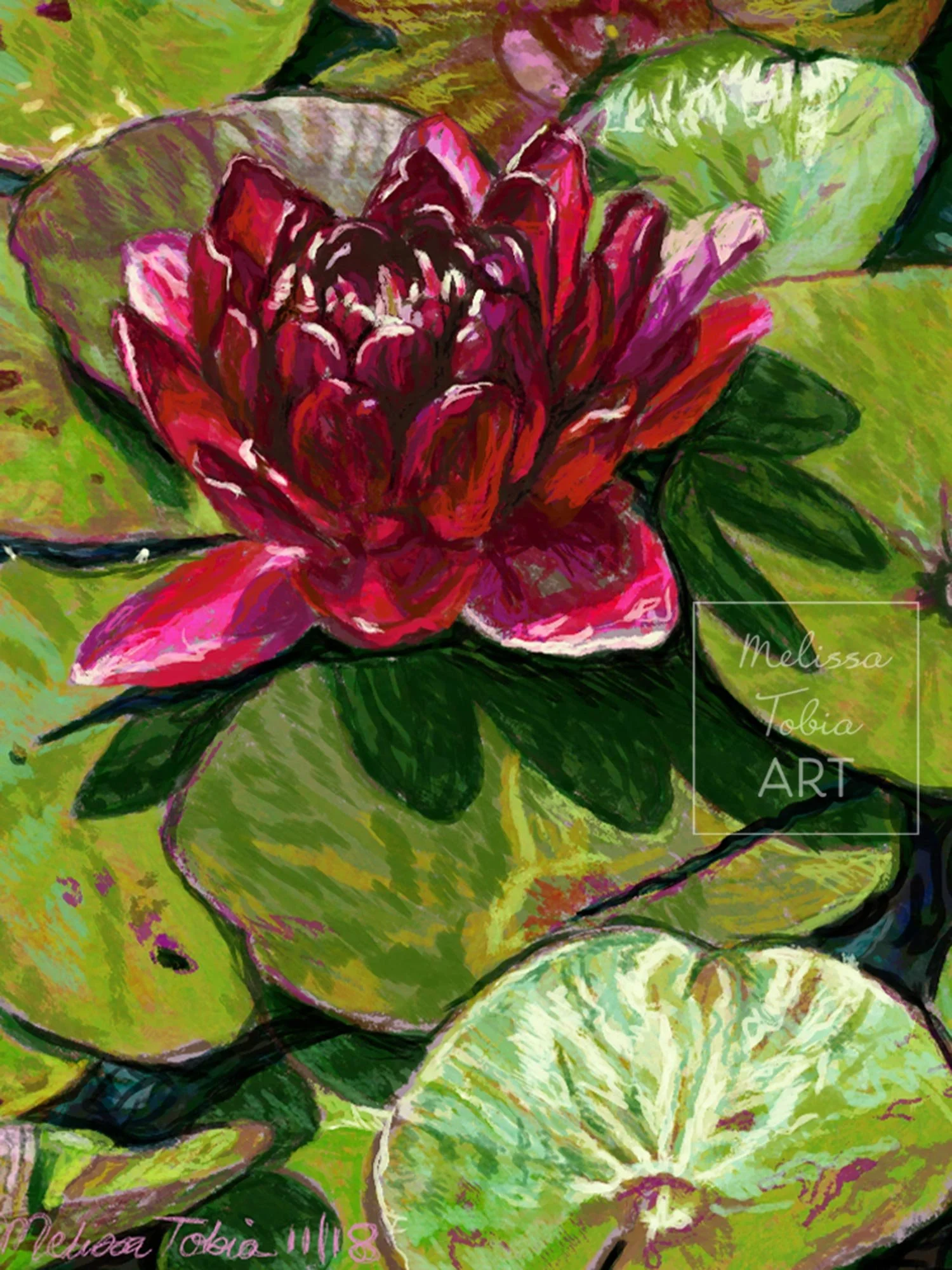 Close-up of a crimson water lily with layered pointed petals against green pond foliage
