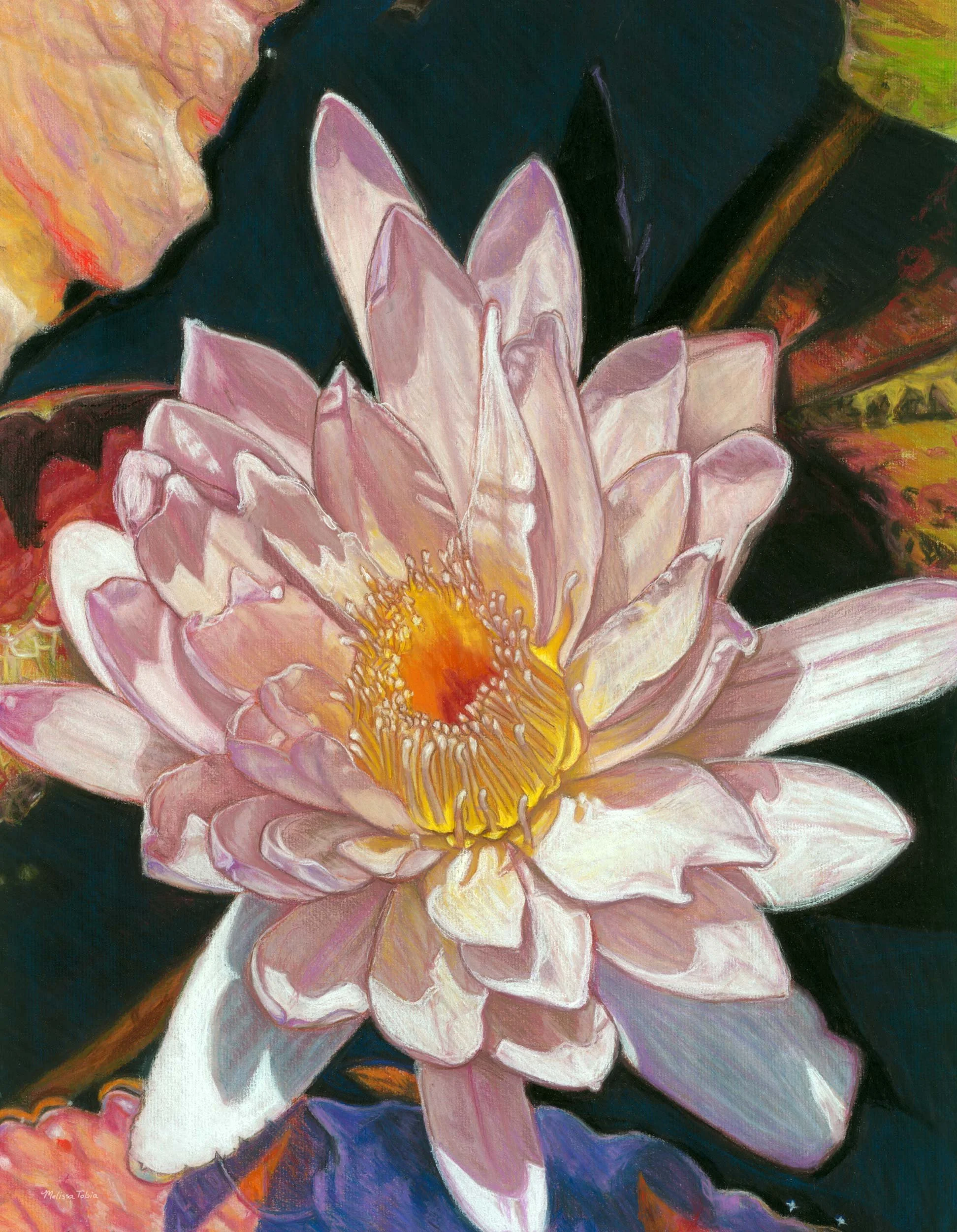 Soft pastel painting of a white water lily with pink-tipped petals and golden center against a dark green pond background