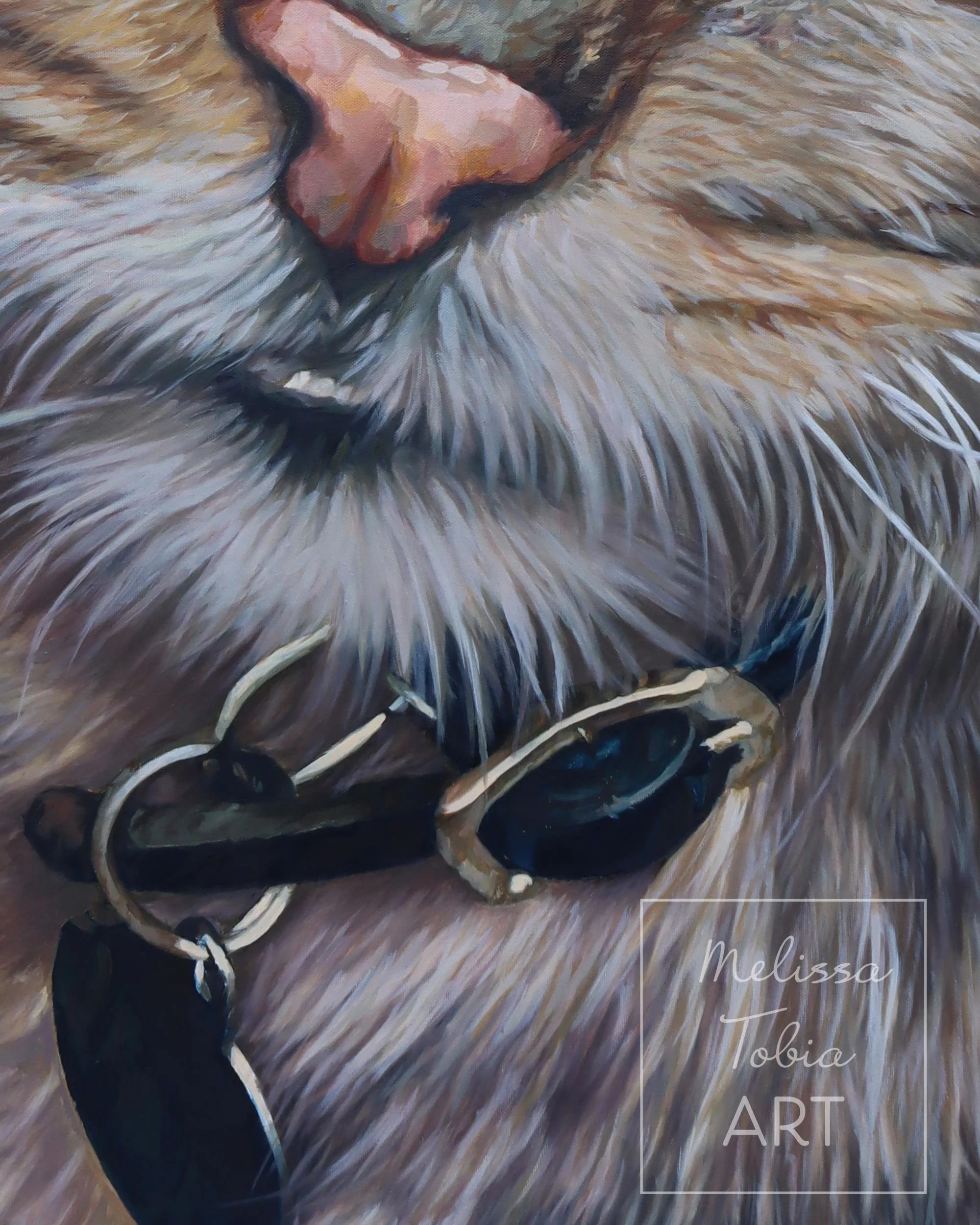 Close-up detail of oil painting showing a cat's collar , nose and whiskers