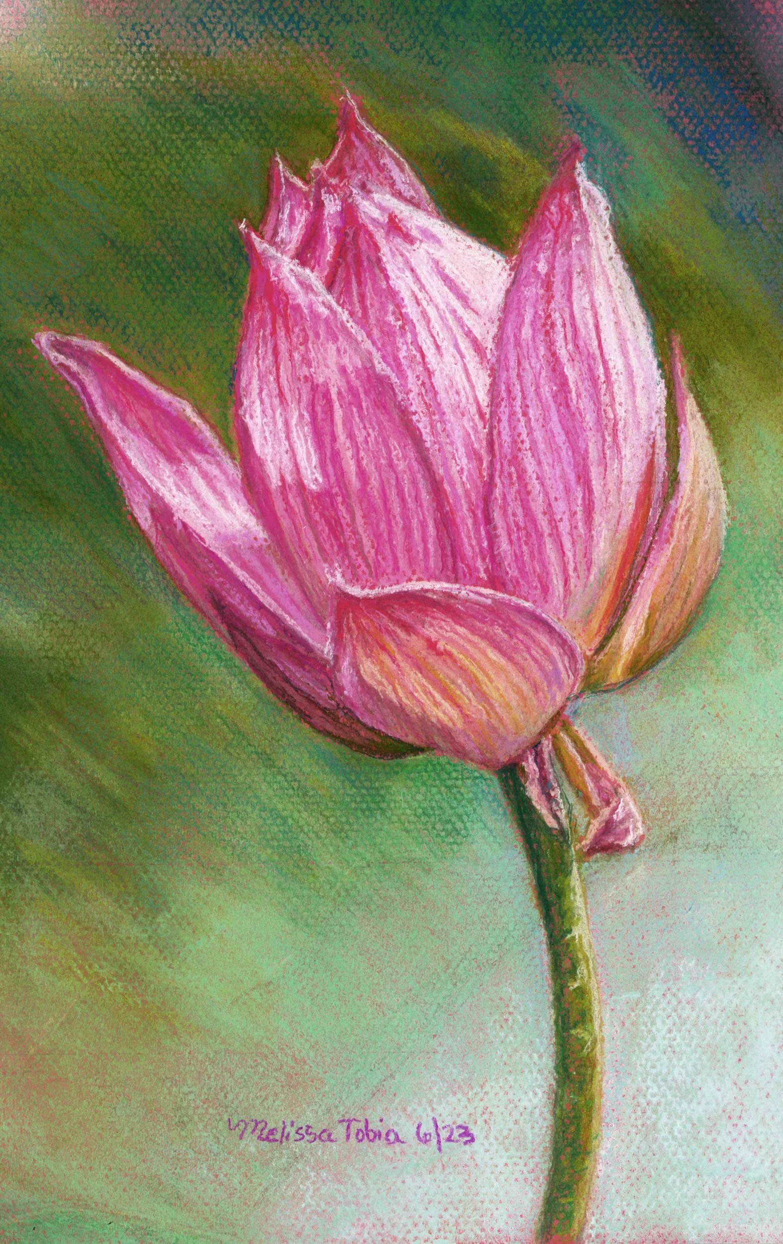 Lonely Lotus original pastel painting showing a pink lotus flower against a green background