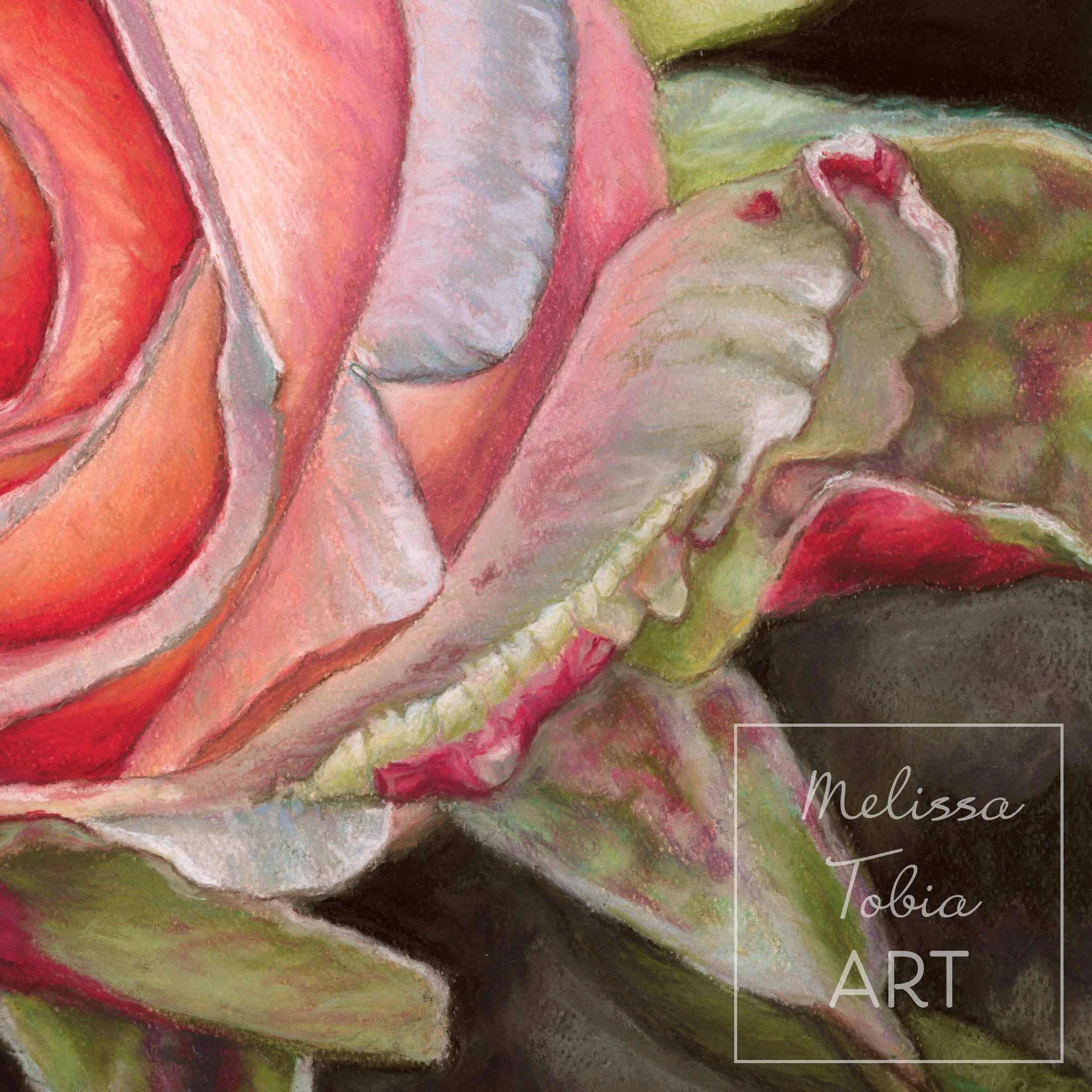 Detail of pastel rose painting with pink and peach tones against a dark background and green leaves with pink and red tints
