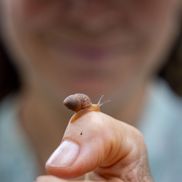 “Snail Hunters” Feature Documentary