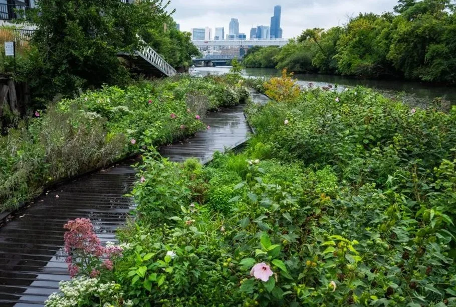 “Problem-Solving” / Shorts Program E