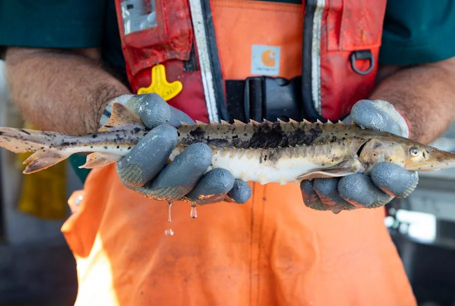 “Stories of Hope” / Shorts Program A